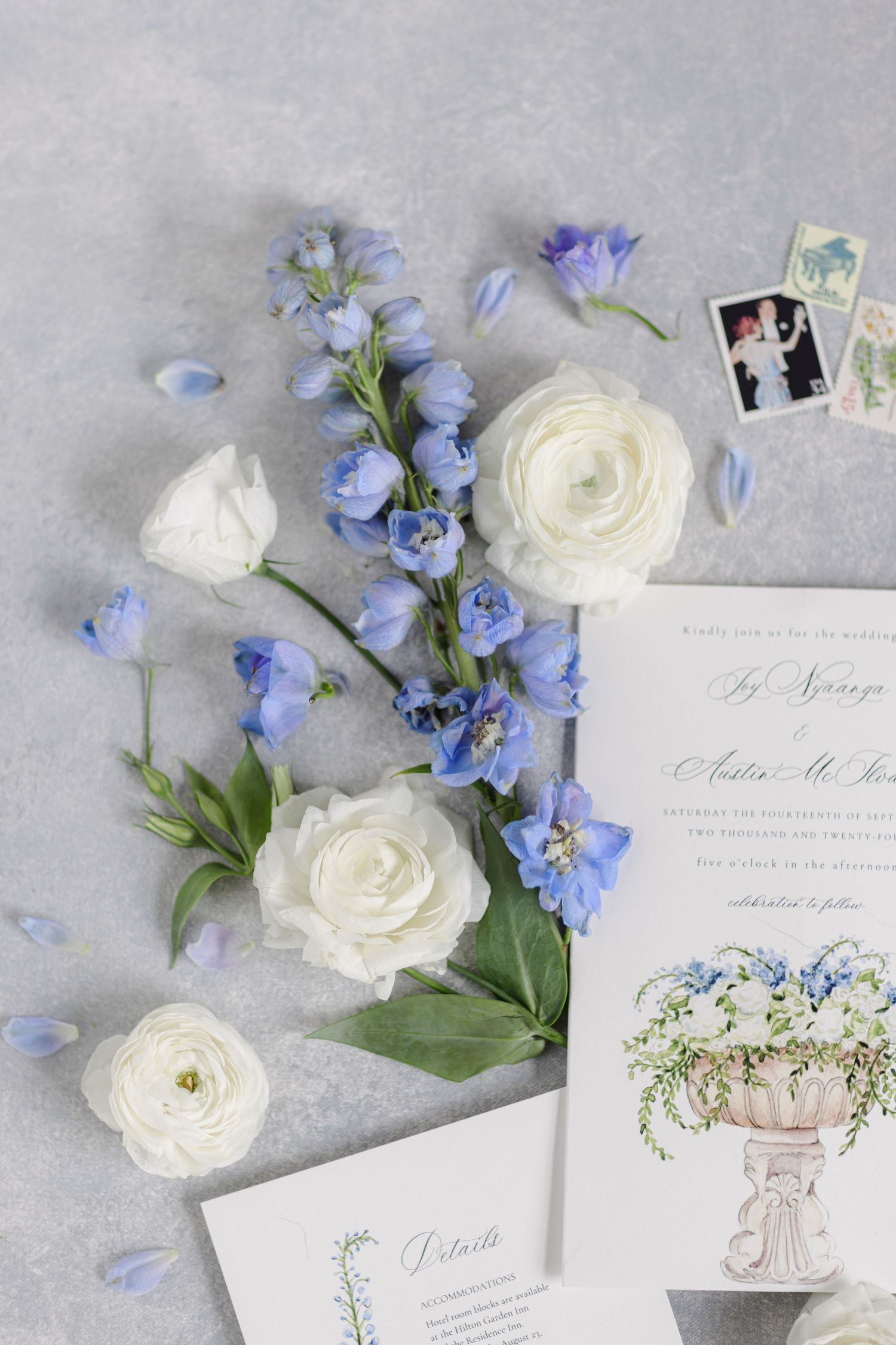 Wedding stationery with delicate white roses and blue delphiniums arranged on a light gray surface with floral illustrations.
