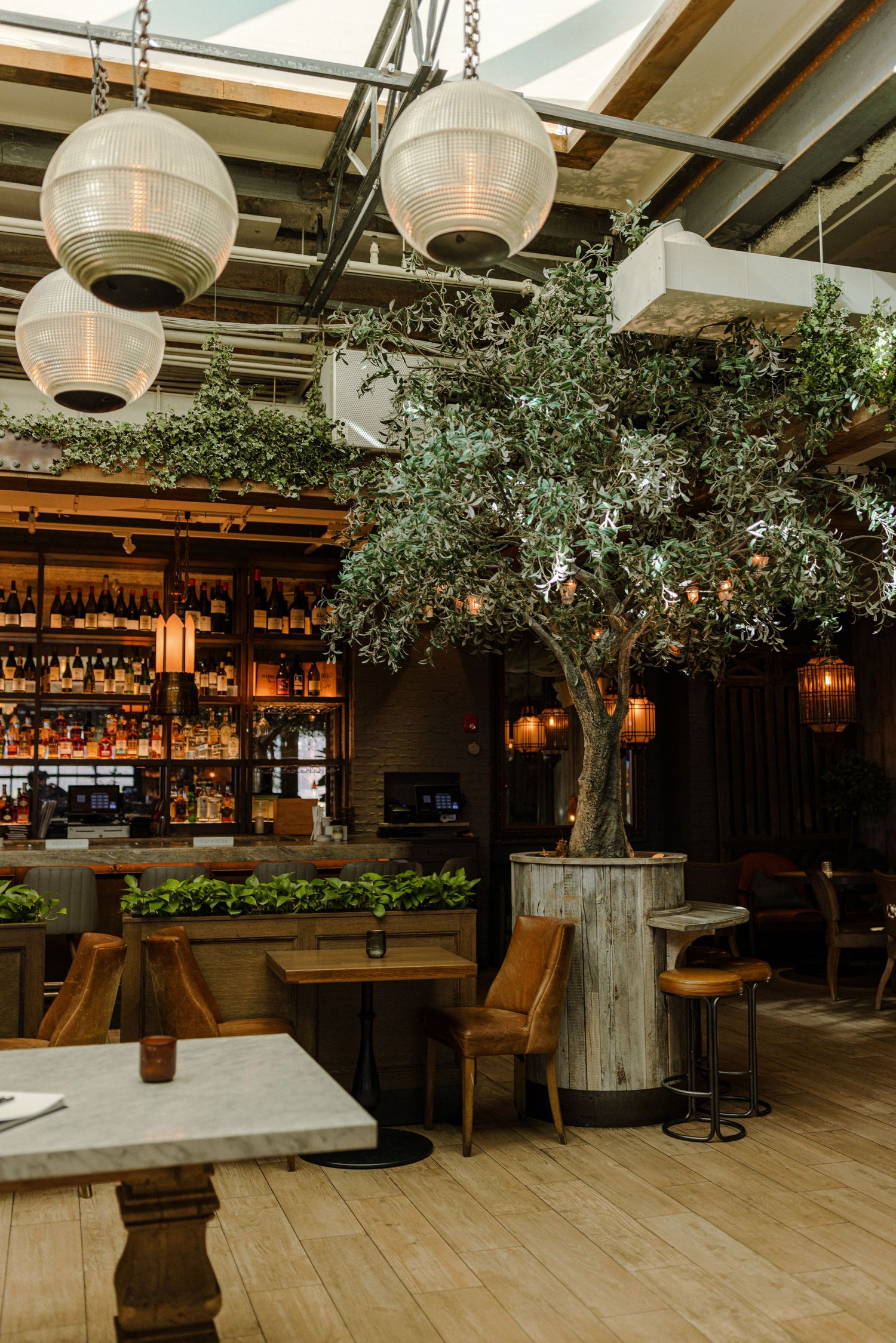 Restaurant bar area with large olive tree centerpiece, globe pendant lights, and wooden furniture.