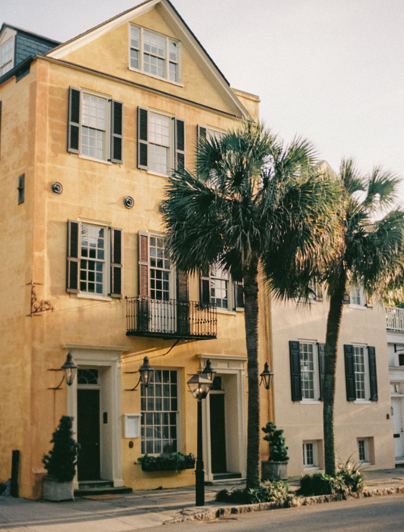 Historic Charleston row houses with palm trees and traditional colonial architecture along a cobblestone street.