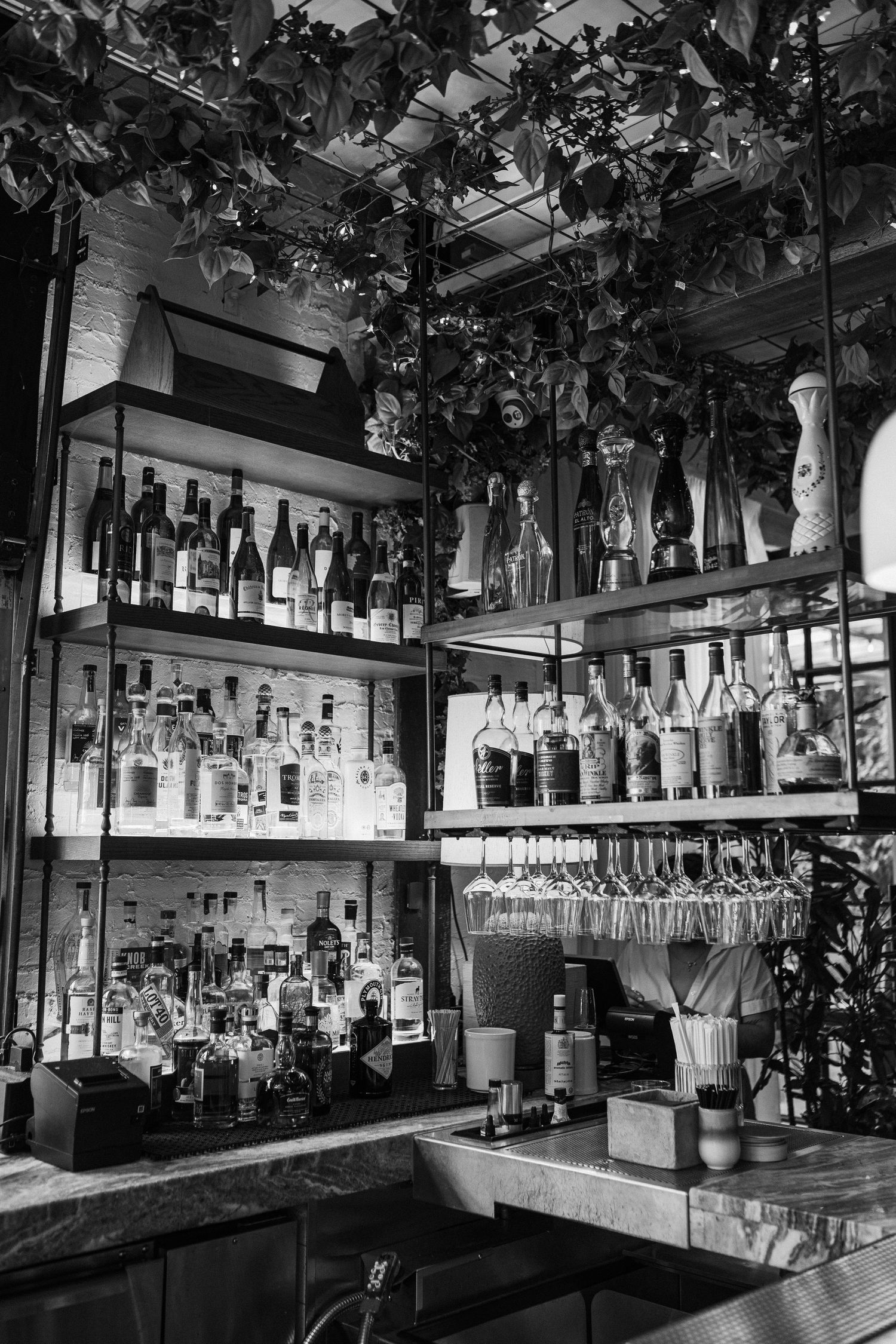 Black and white photo of bar shelves stocked with bottles and hanging wine glasses.