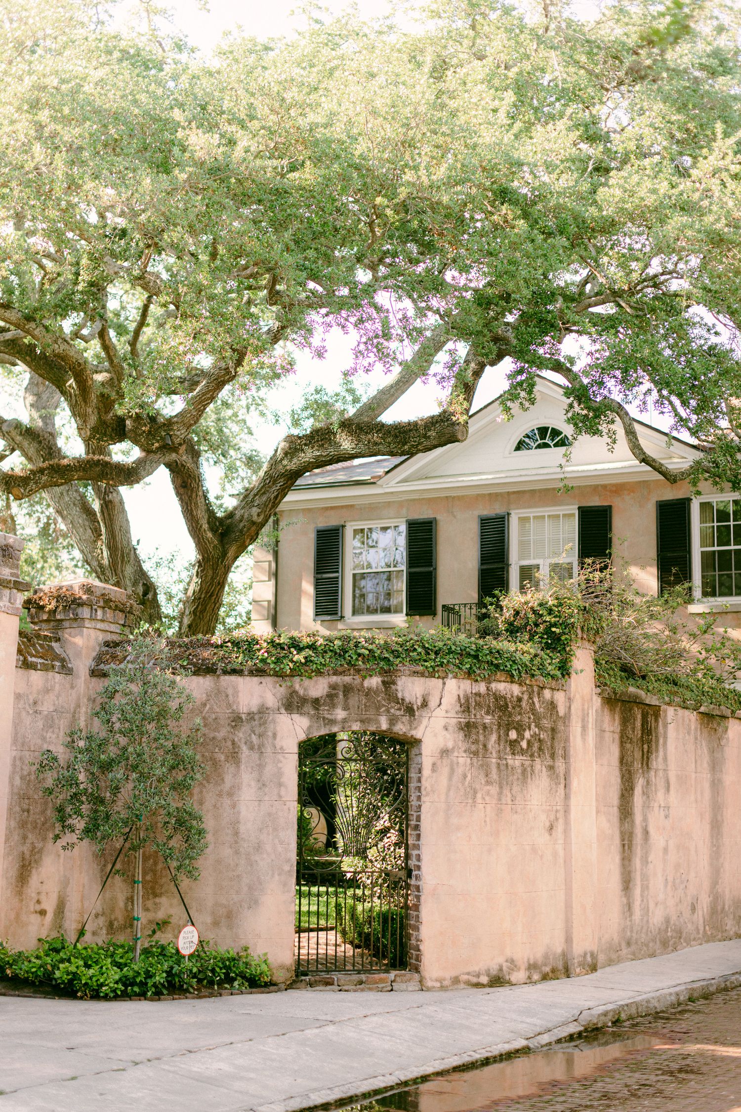Pink stucco house with black shutters behind wrought iron gate and overhanging oak trees.