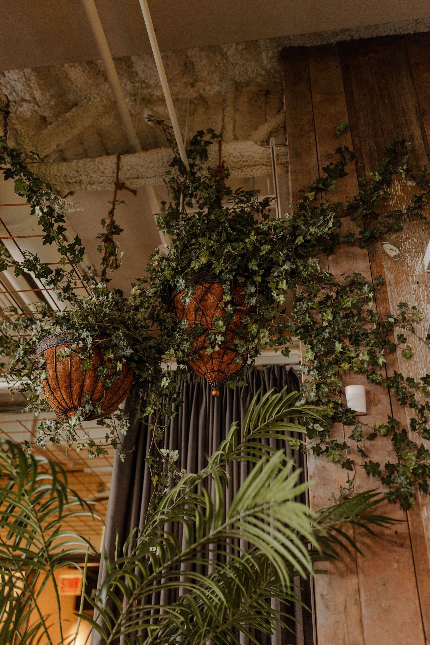 Hanging plants and vines create an organic ceiling display in rustic interior space.