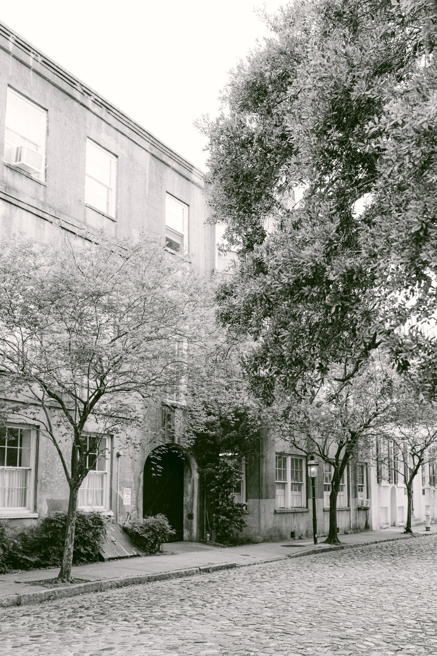 A black and white panoramic view of a cobblestone street lined with trees and residential buildings.