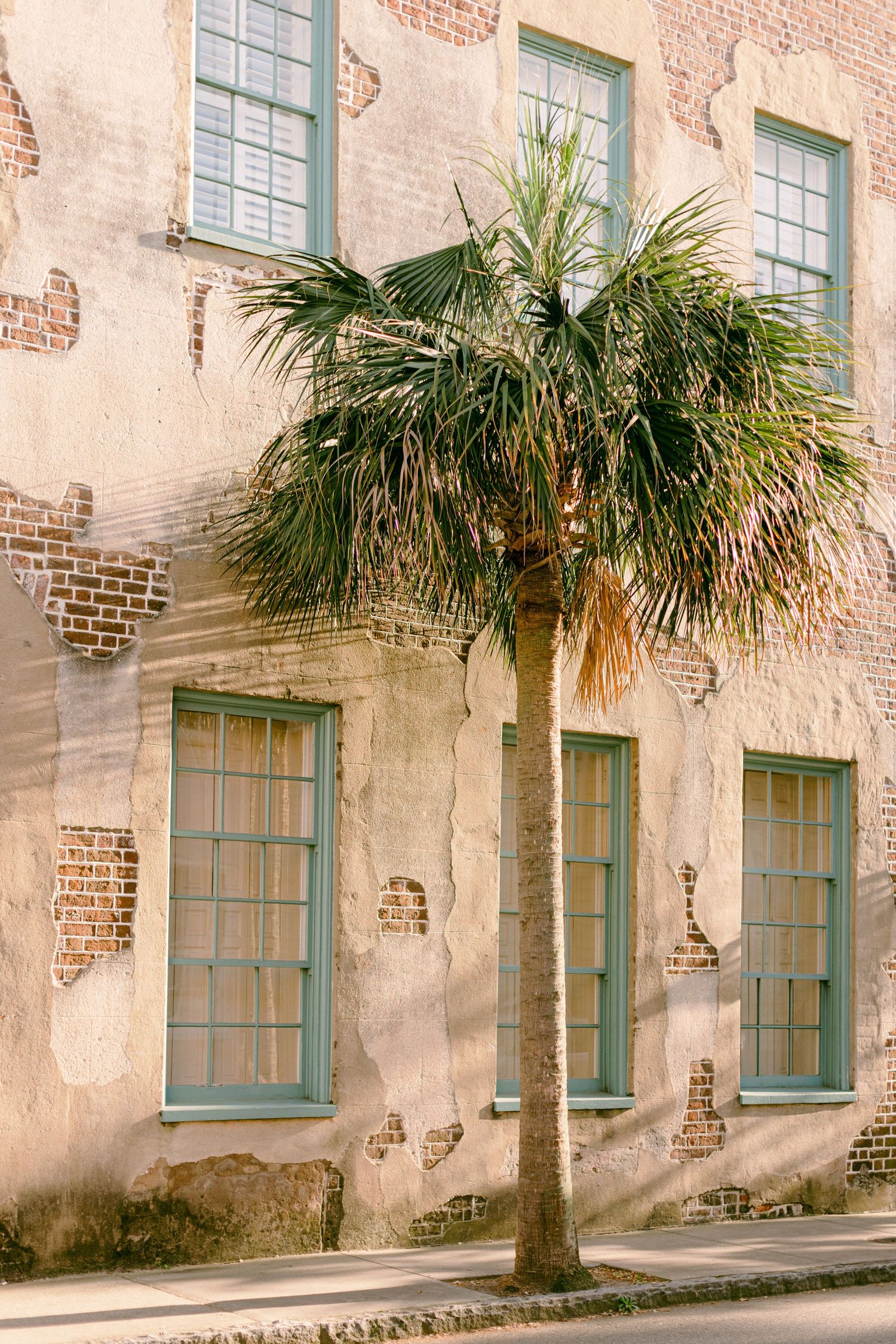 Historic building exterior with weathered pink stucco walls, green-trimmed windows and a palm tree in Charleston.