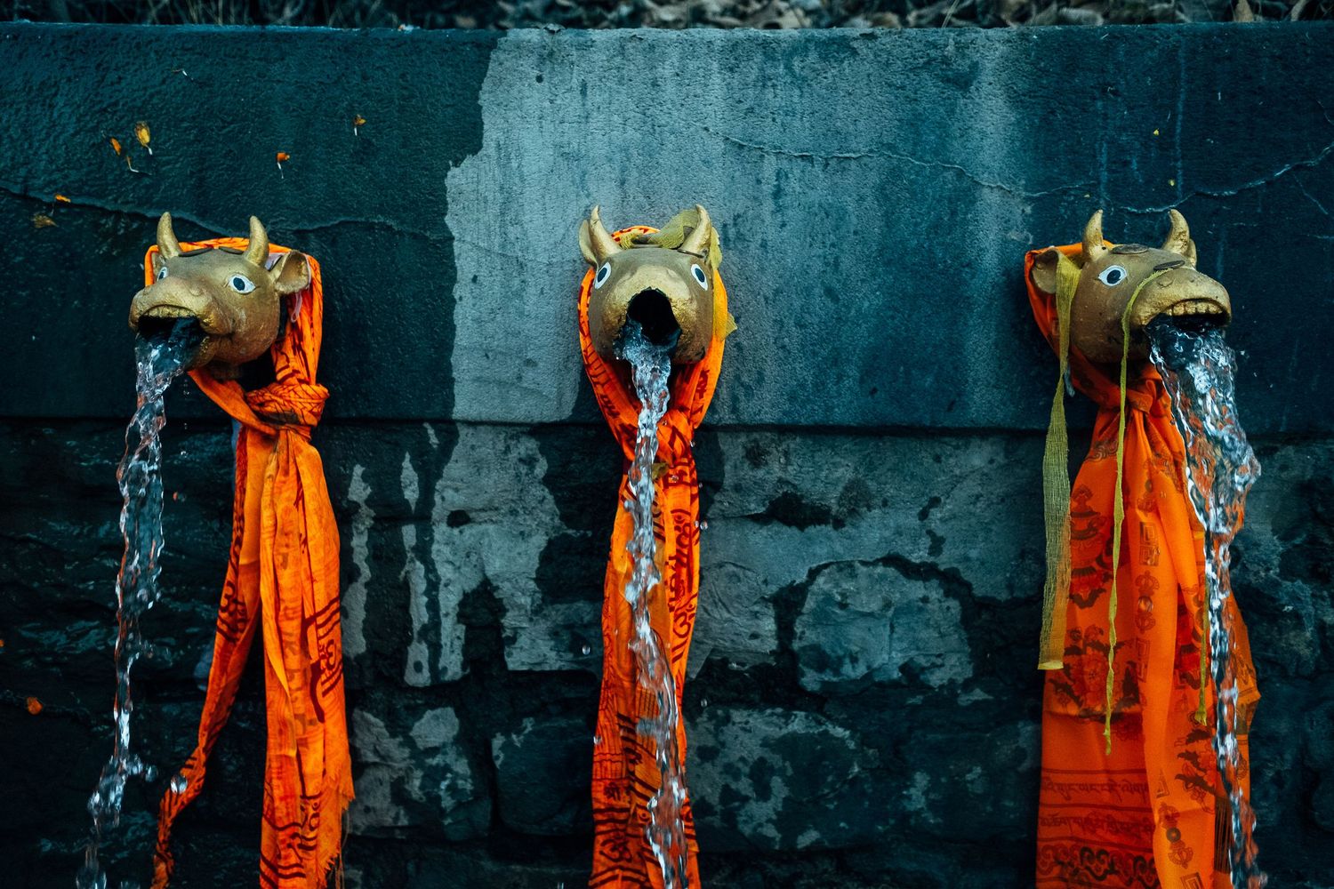Buddhist monks in bright orange robes performing a traditional ritual ceremony against a dark stone wall backdrop.