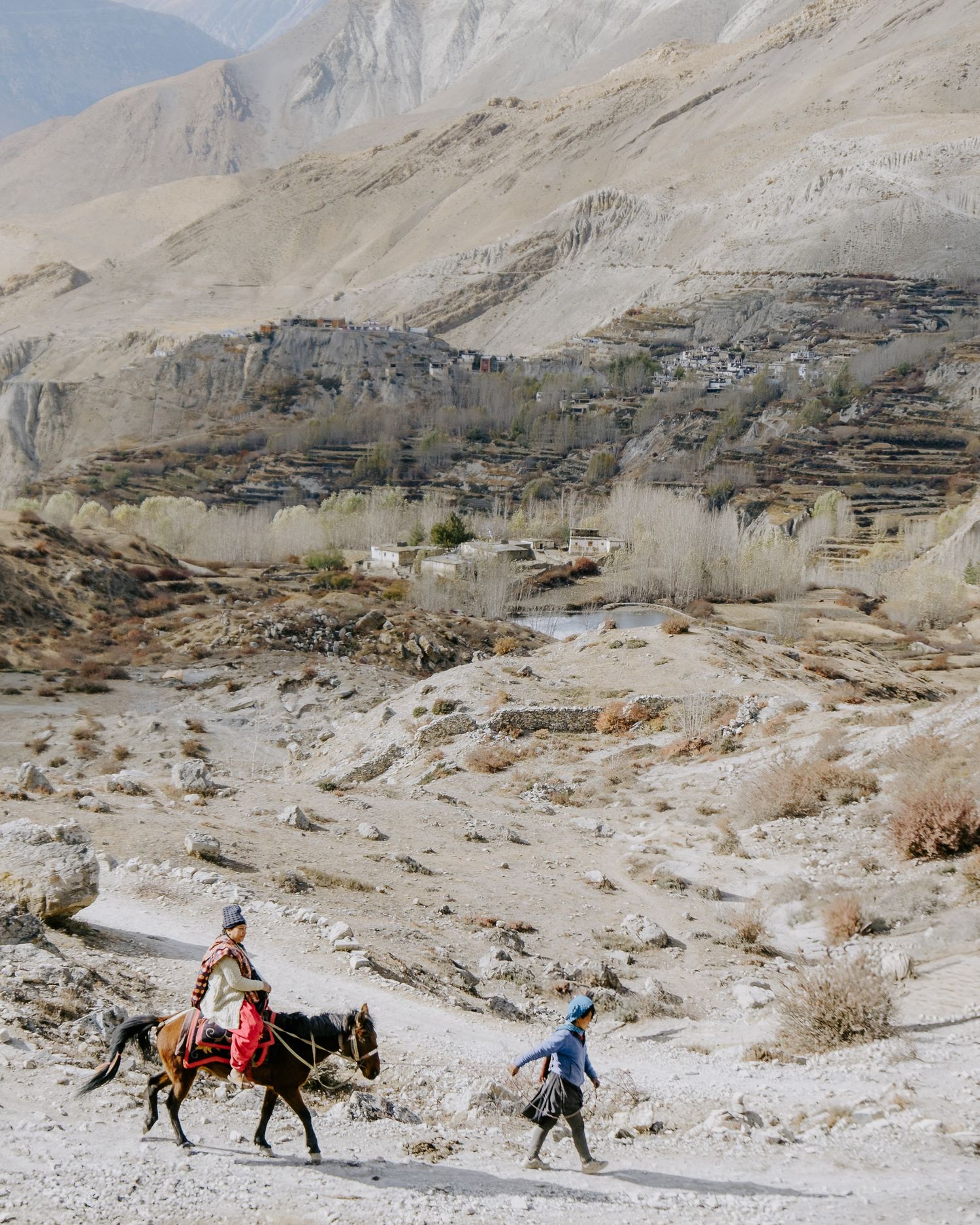 Pack animals and travelers making their way through a barren mountain valley landscape.