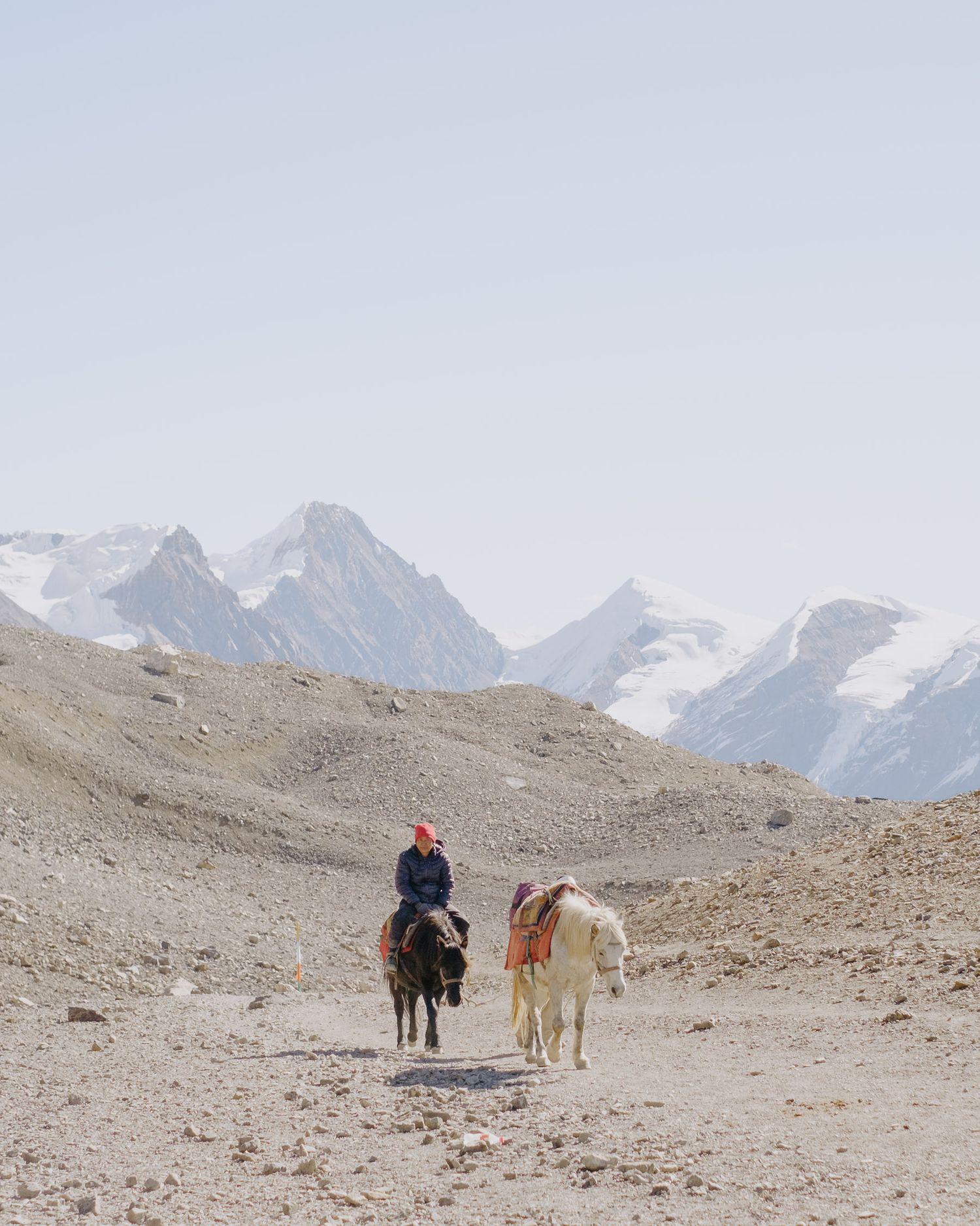 Pack animals and their handlers cross a barren mountain pass with snowy peaks in the distance.