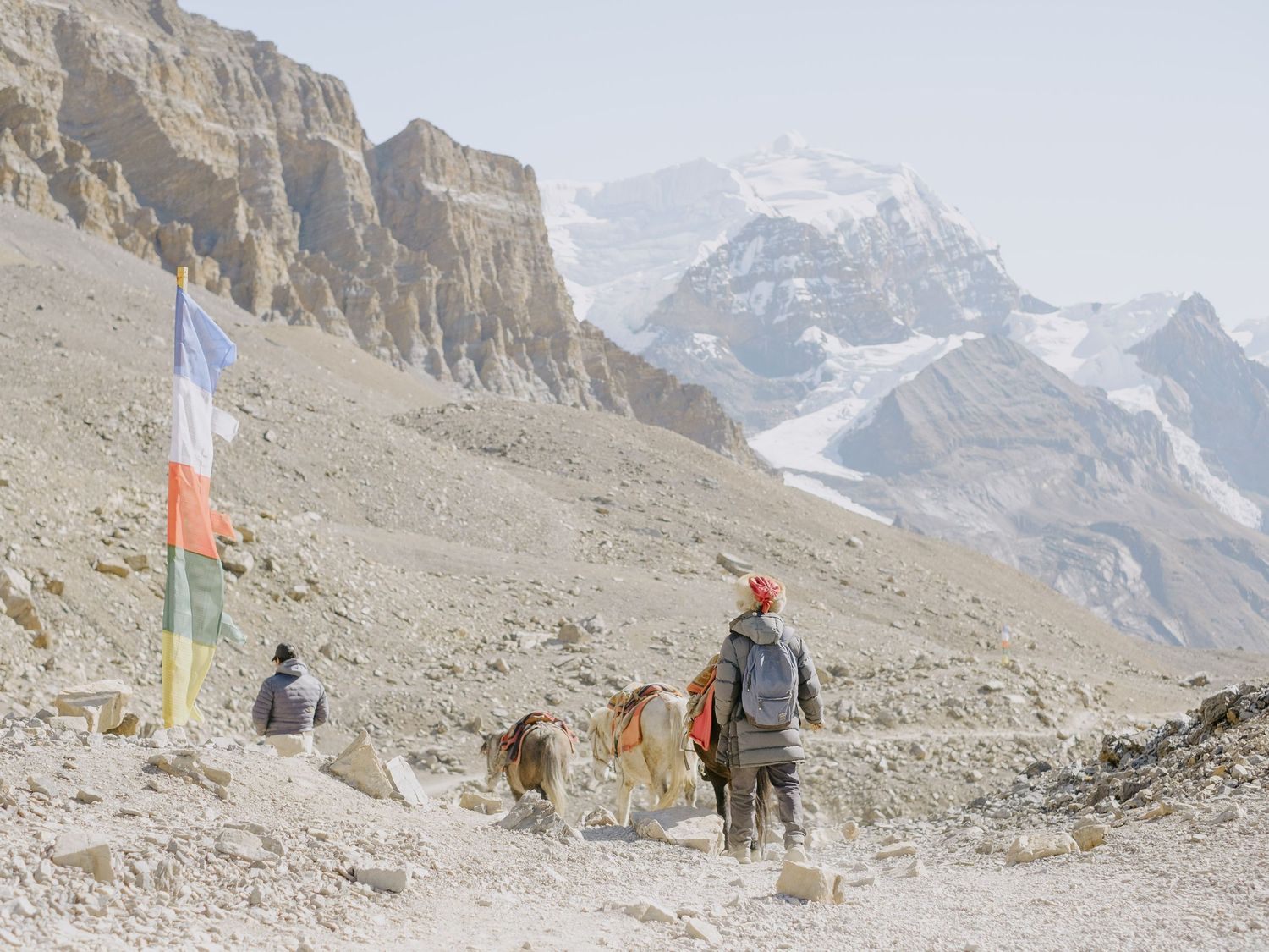 Hikers with dogs traverse a rocky mountain trail marked by prayer flags.