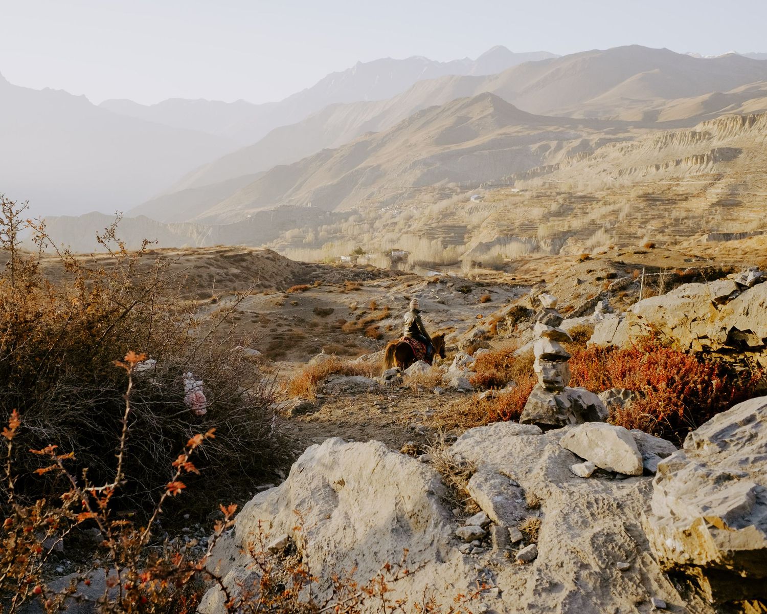 Wide view of rugged mountainous terrain with scattered boulders and desert vegetation in warm evening light.