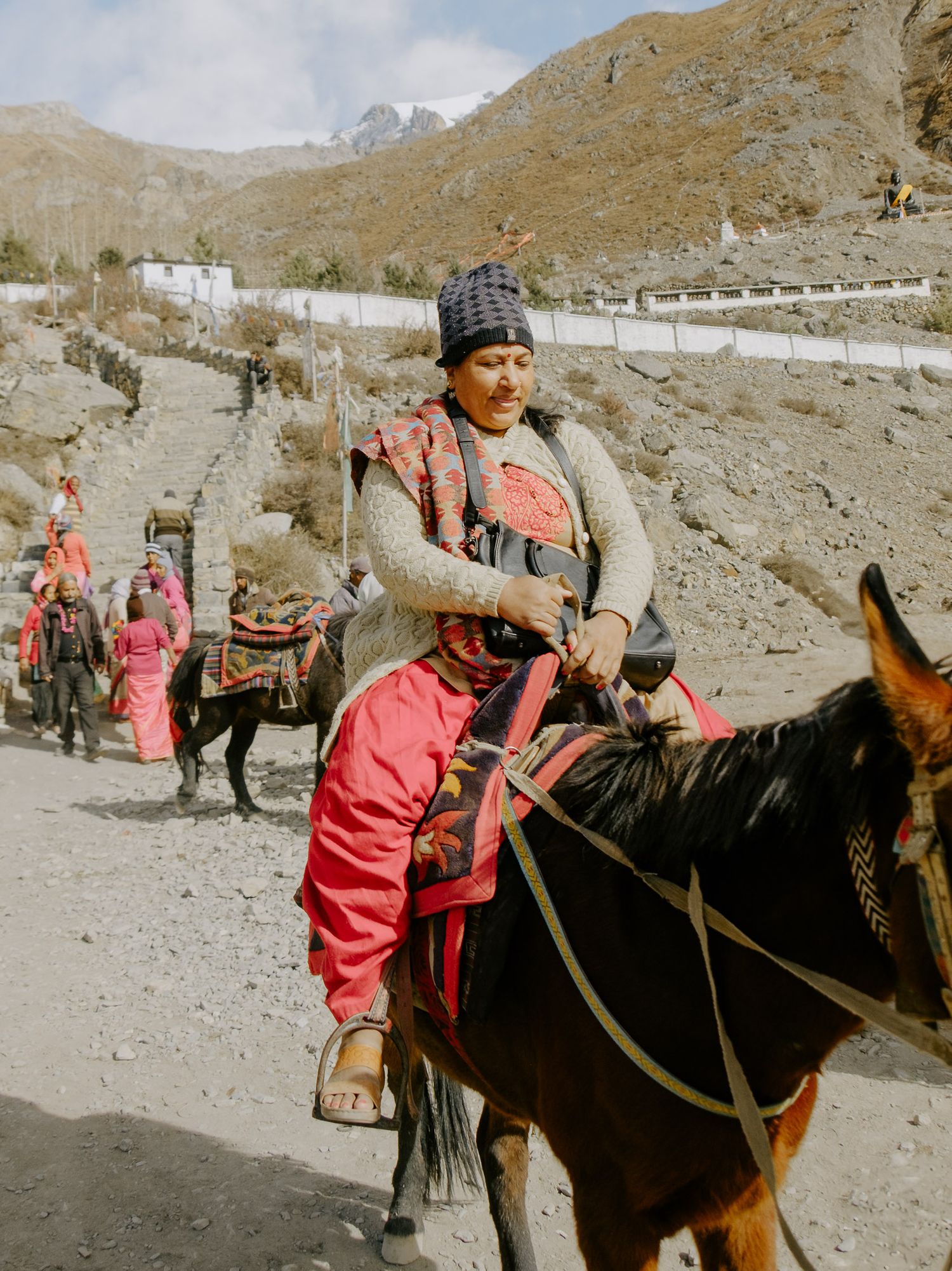 Pack animals with colorful saddles and gear standing along a mountain trail.