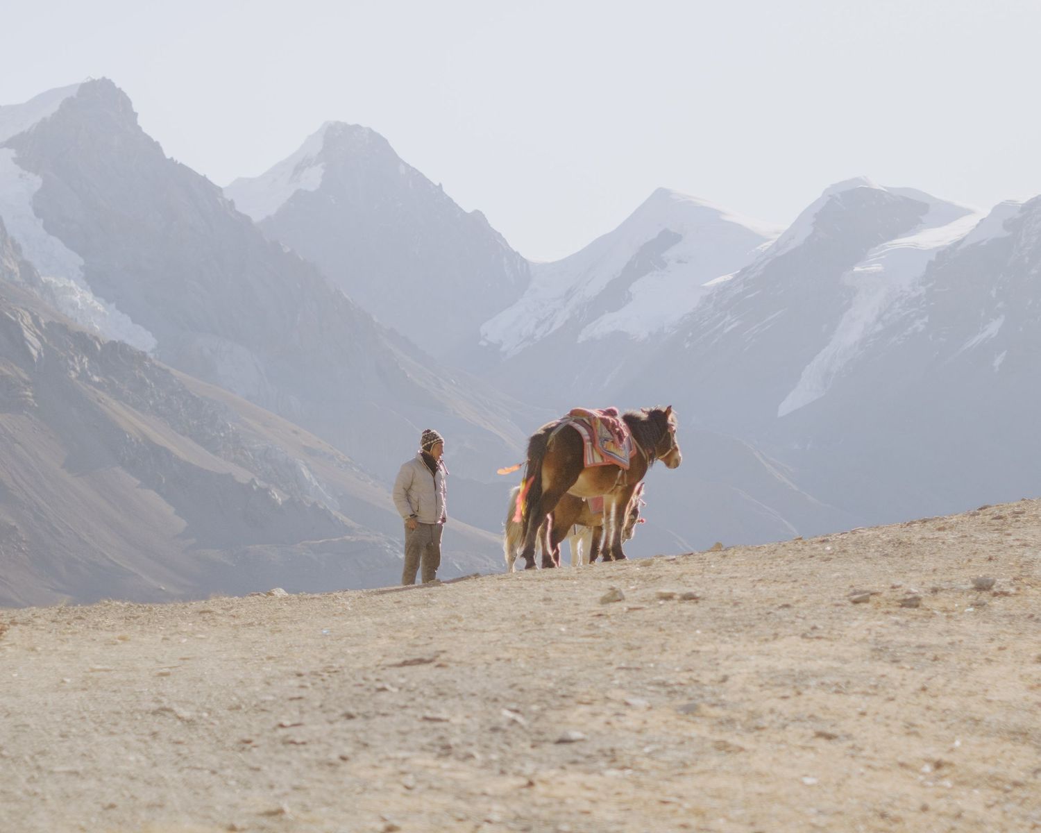 Mountain landscape with horses and a figure silhouetted against snow-capped peaks.
