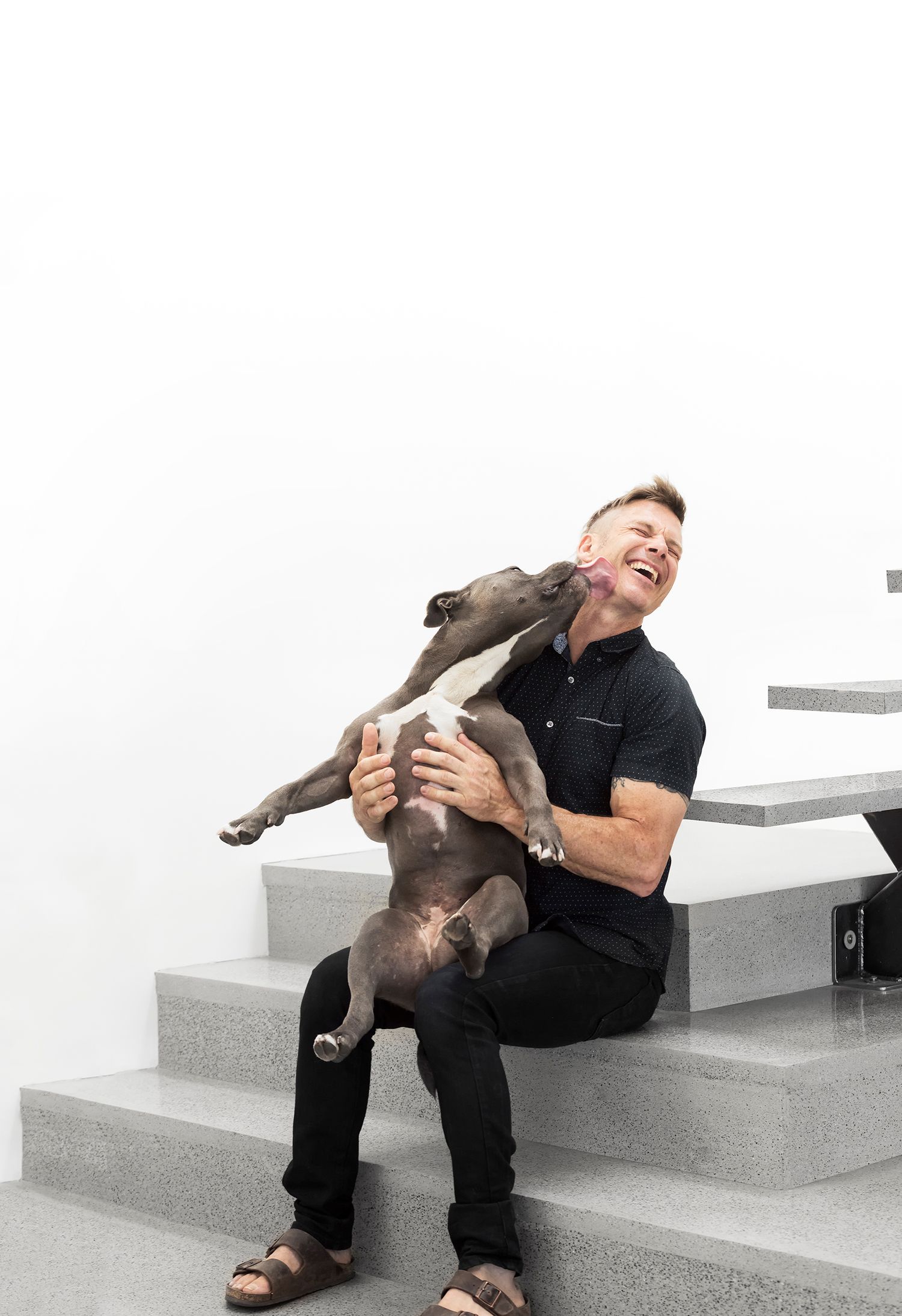 Laughing man in black polo shirt being licked by playful grey dog while sitting on concrete stairs.