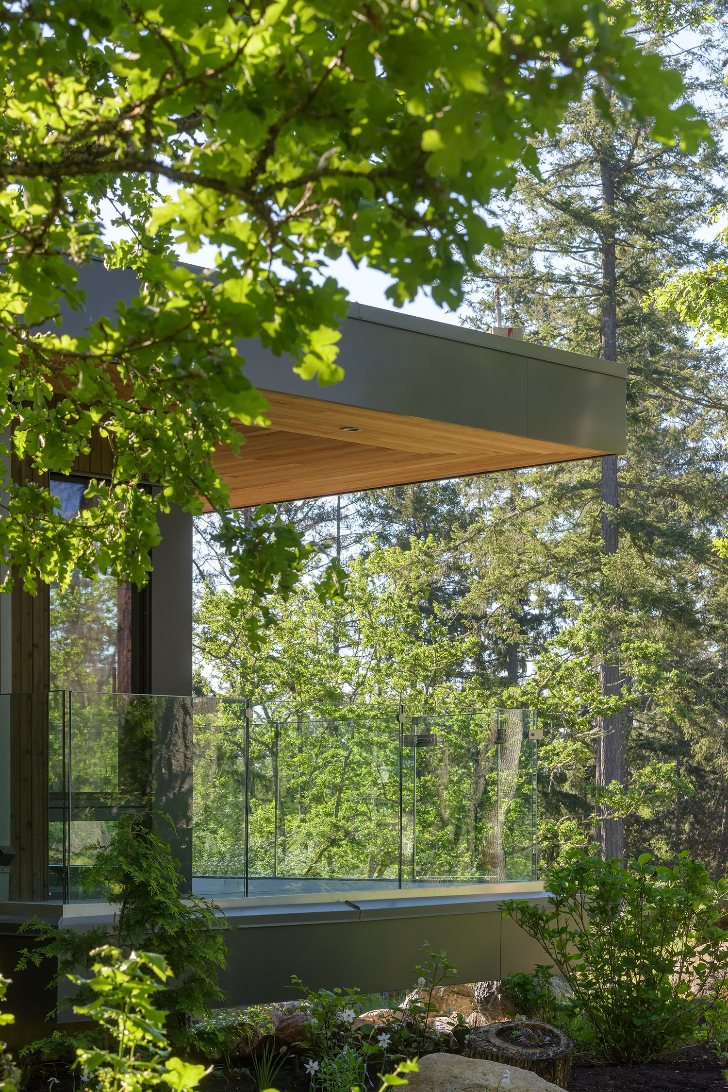 Modern home exterior with cedar soffit, glass railing balcony, and floor-to-ceiling windows nestled among tall forest trees.