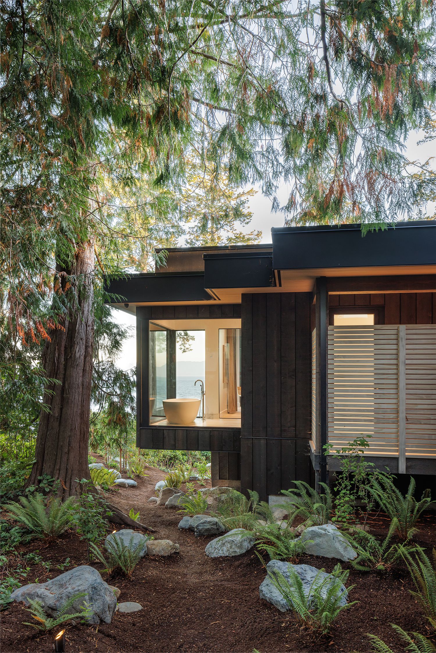 Dark wood modern cabin exterior nestled among tall evergreen trees with natural stone landscaping and fern garden path.