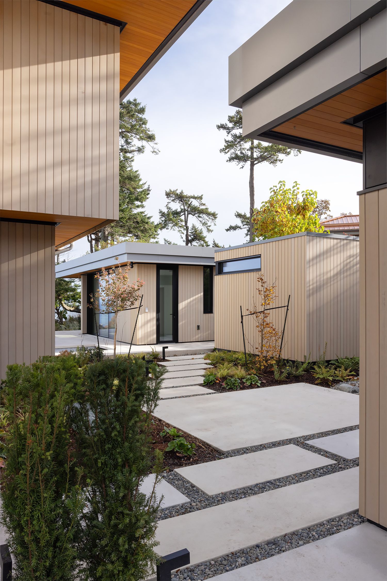 Contemporary home exterior with vertical wood siding, concrete stepping stones, ornamental grasses, and pine trees backdrop.