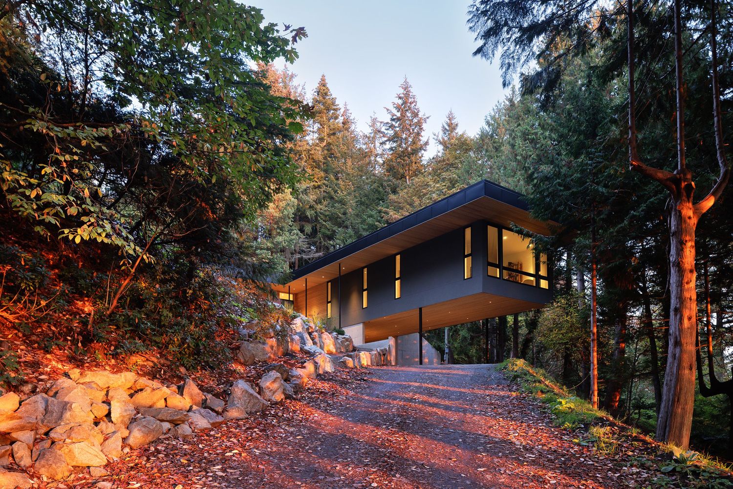 Contemporary forest home with dark roof and wood accents surrounded by autumn trees on a wooded hillside.