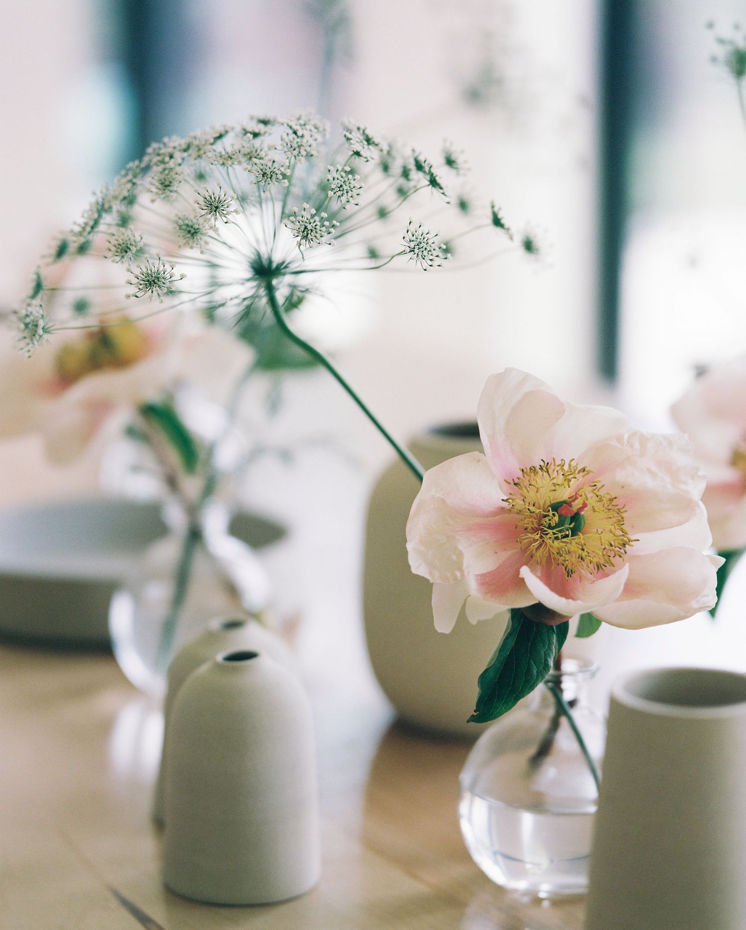 Delicate pink peony and Queen Annes lace flowers arranged in small ceramic and glass vases on wooden table.