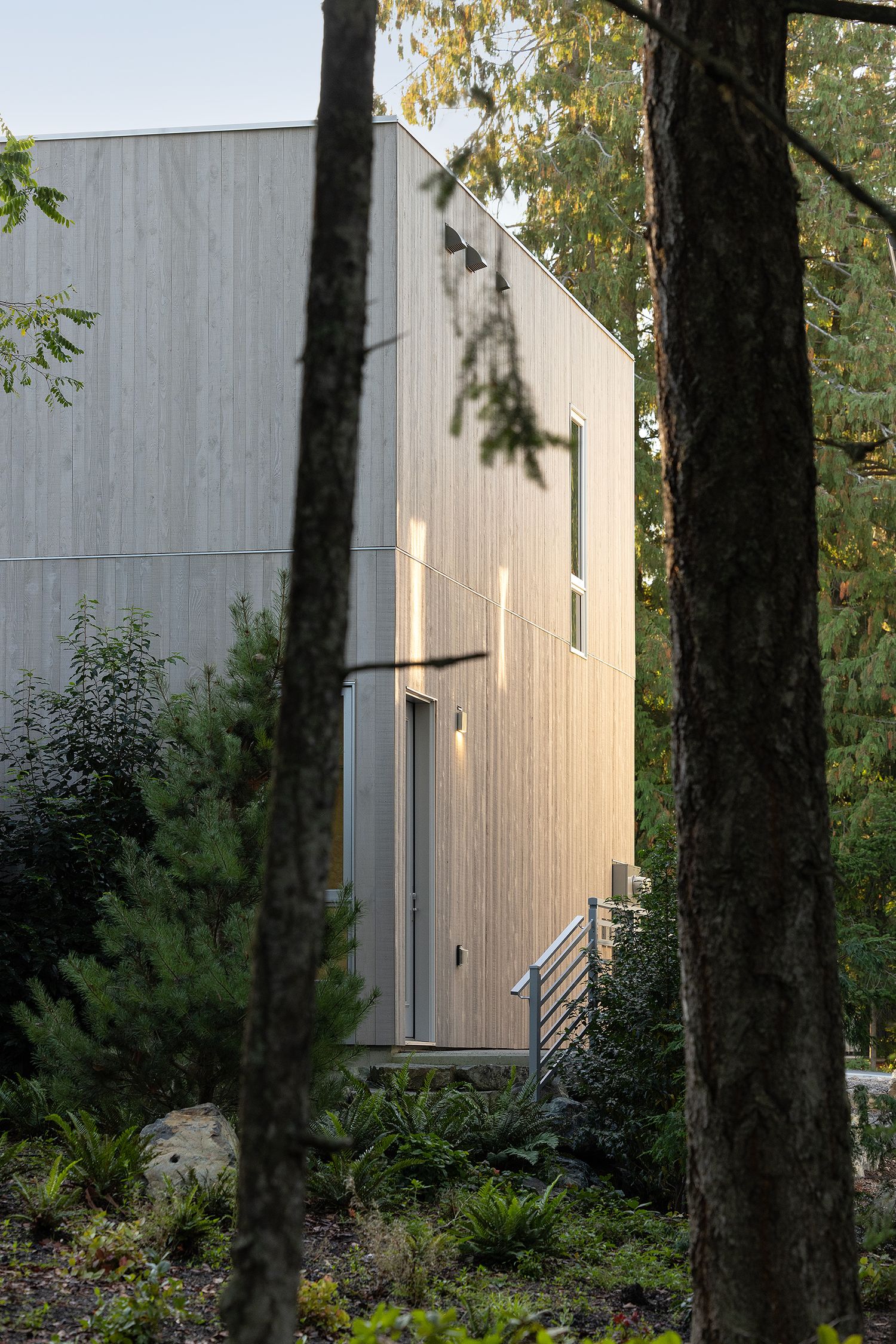 Modern home exterior with vertical wood siding nestled among trees at dusk with subtle exterior lighting.