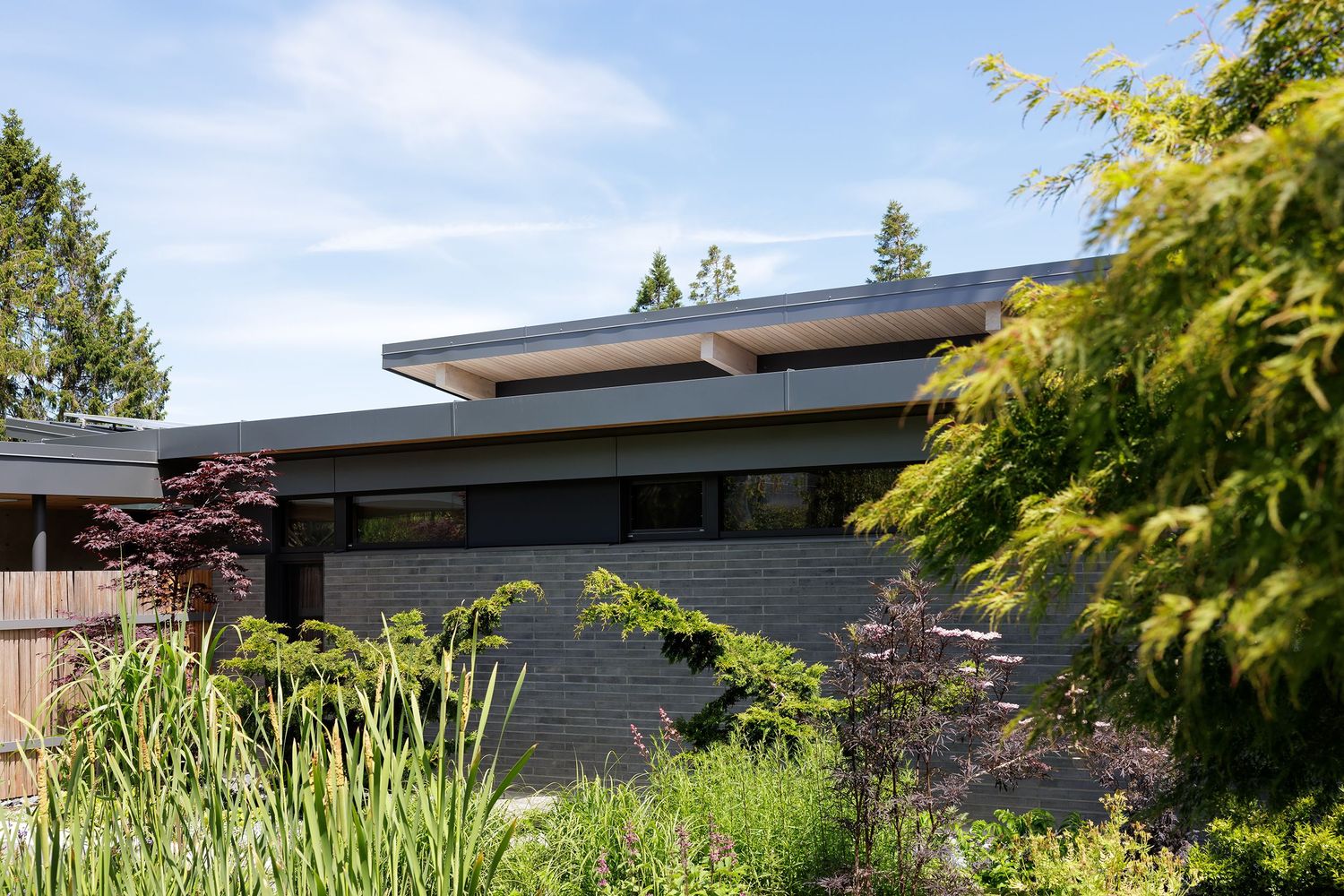 Modern dark gray flat-roof home exterior surrounded by lush Japanese maples and evergreen trees under blue sky.