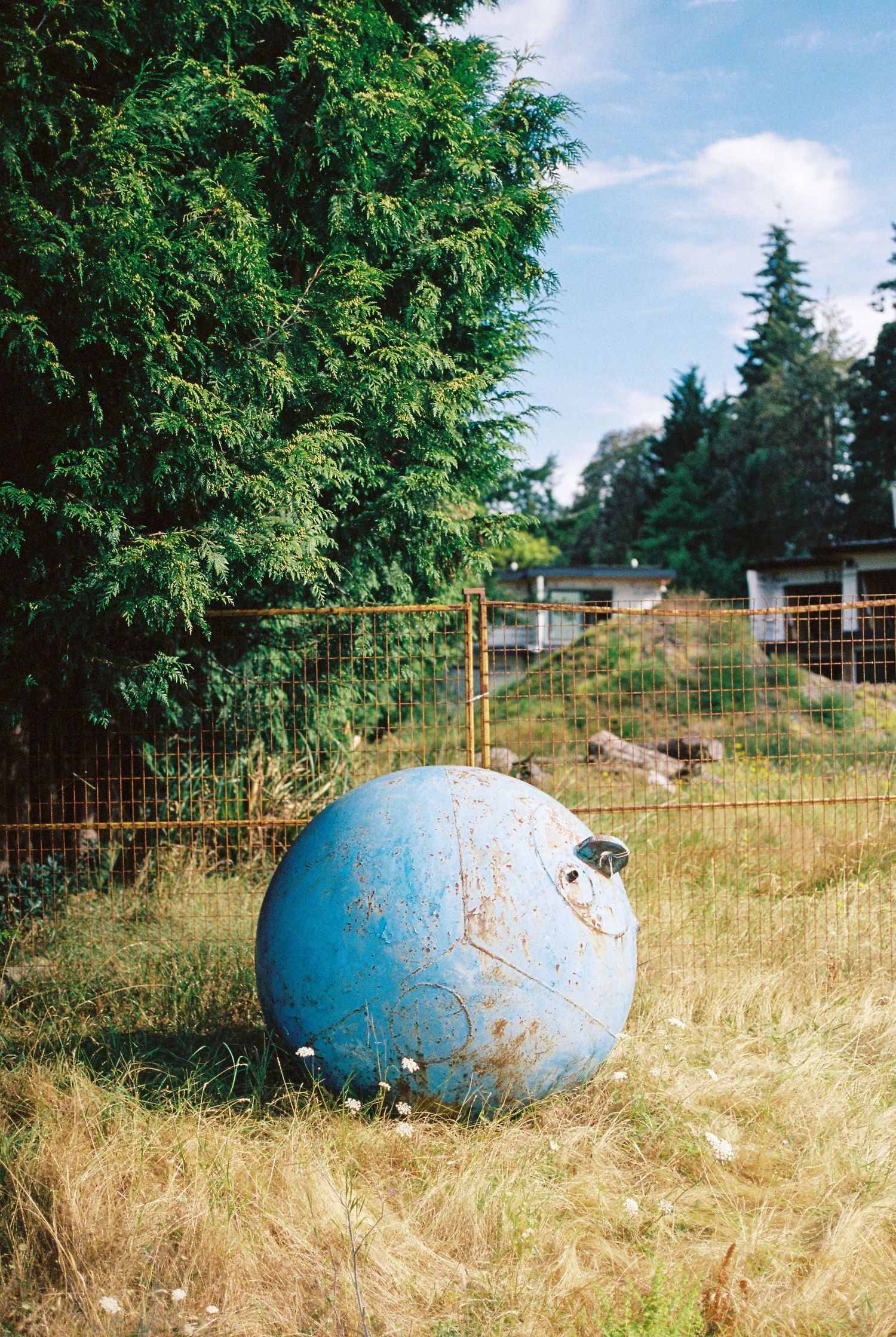 Weathered blue globe sculpture resting in a grassy field beside evergreen trees and a rusty fence.