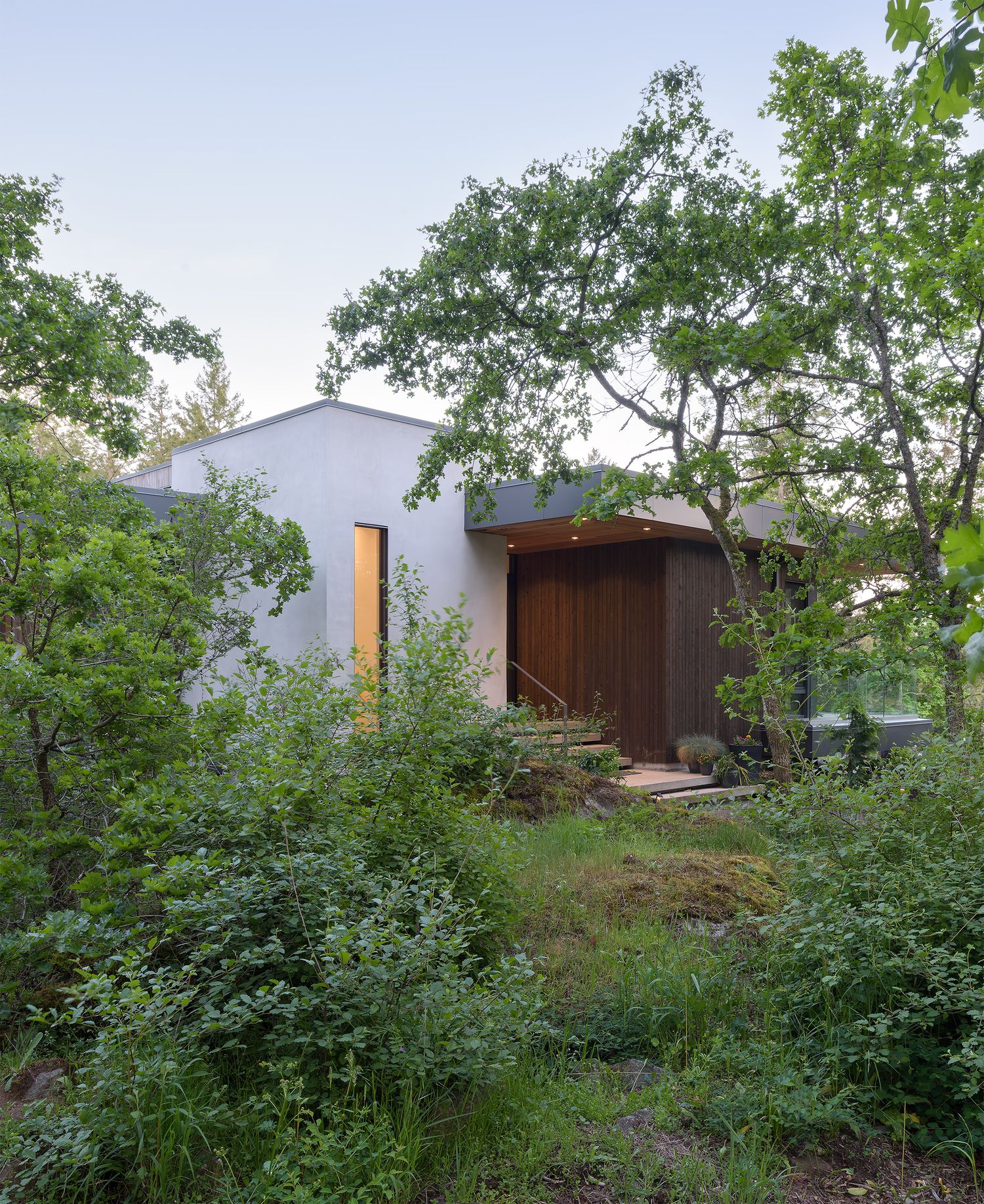 Modern minimalist home with white stucco exterior, wood entry door, surrounded by lush natural landscaping.