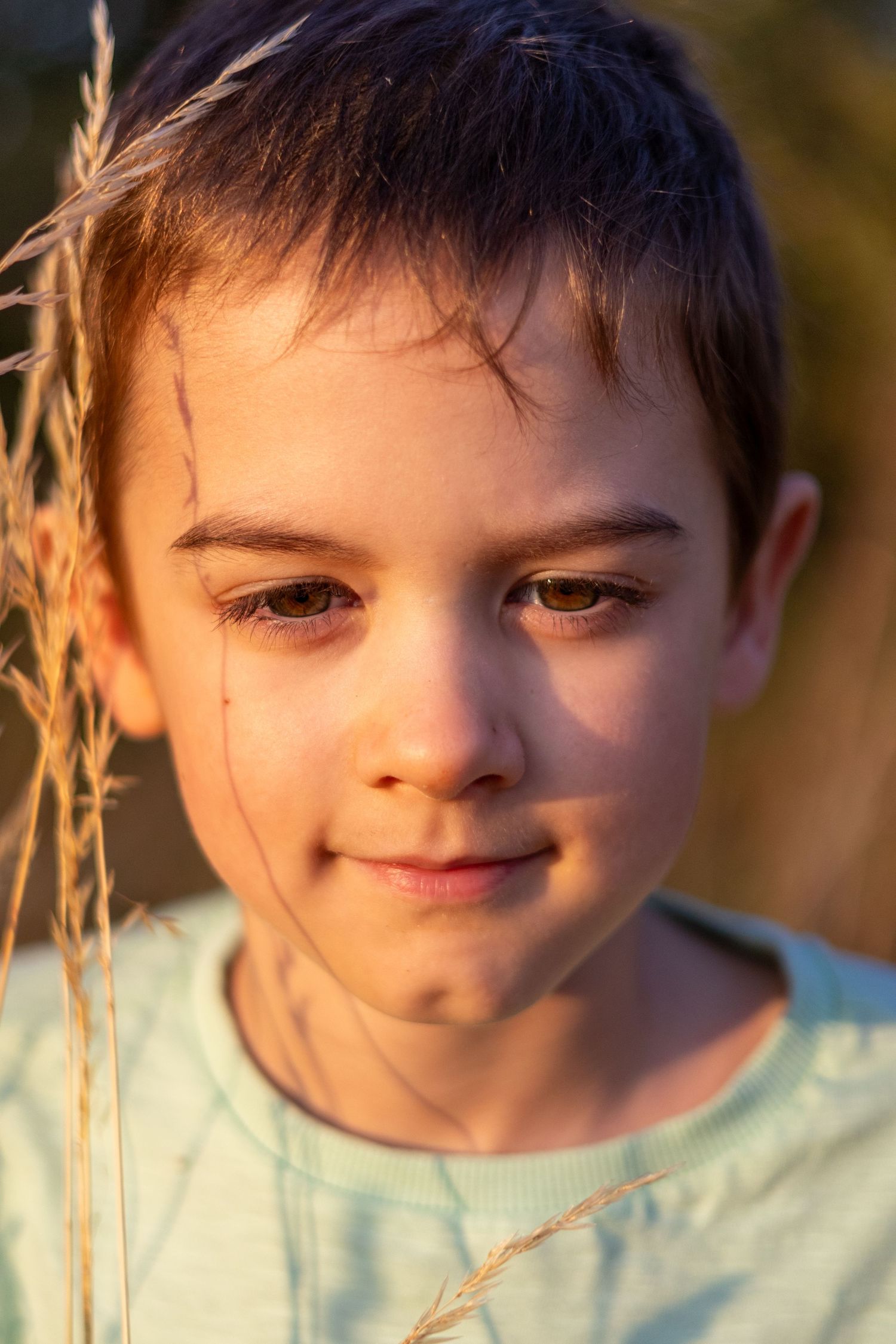 A young boy gazes downward holding a dried grass stem in warm golden sunset lighting.