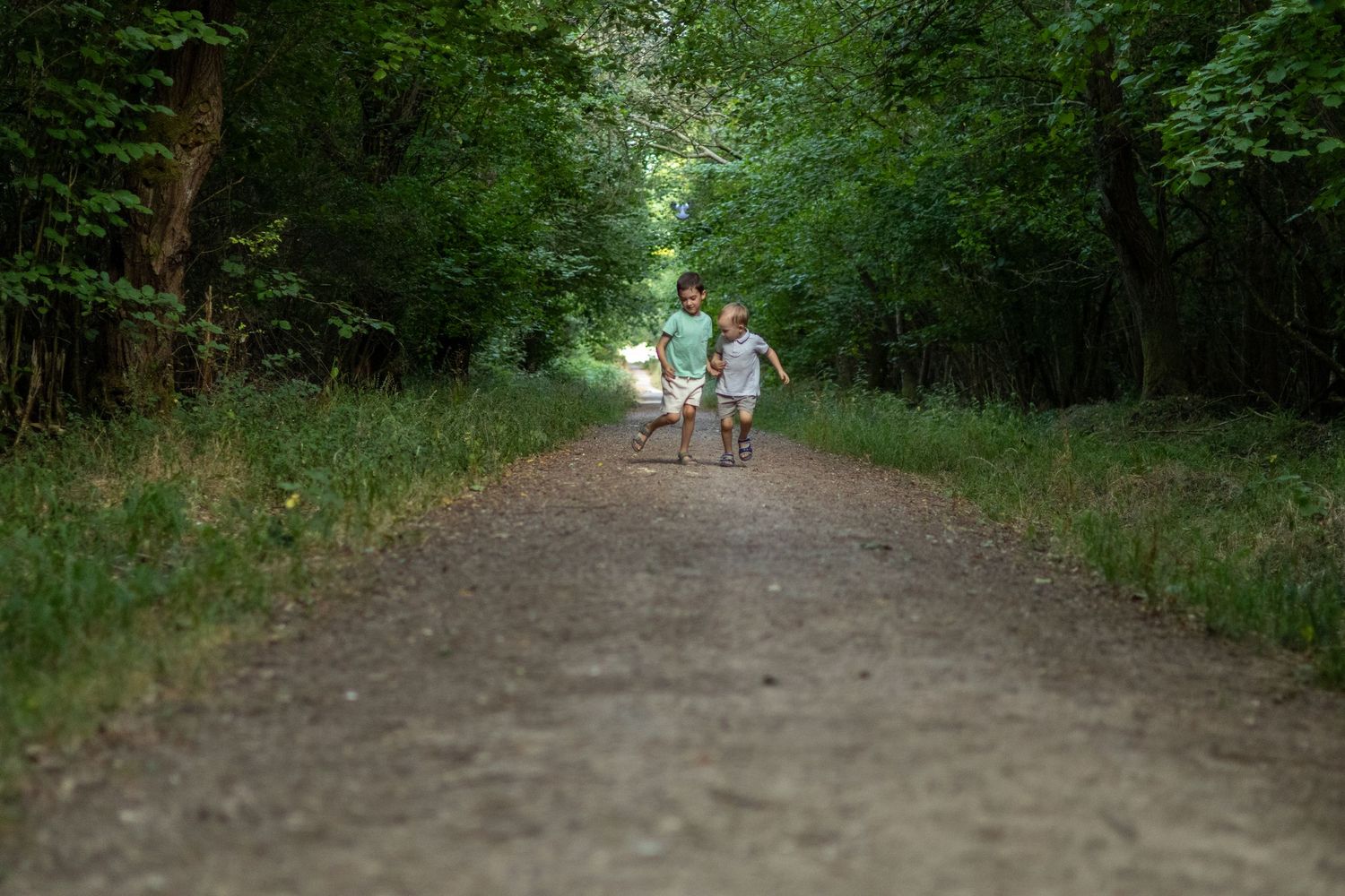 Two small children holding hands running away down a tree-lined forest dirt path.