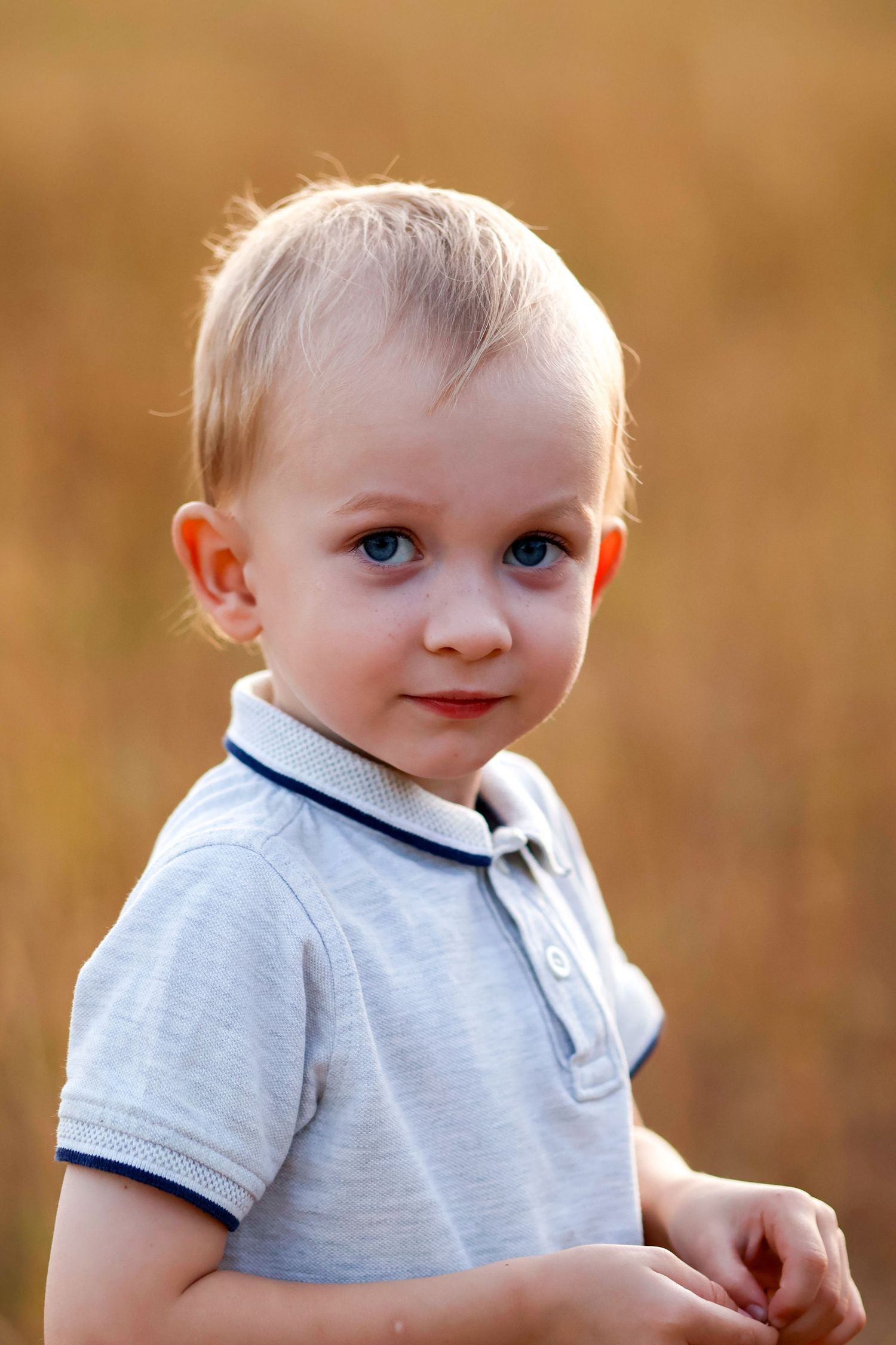A cute blonde toddler boy in a grey polo shirt poses outdoors in a golden field.