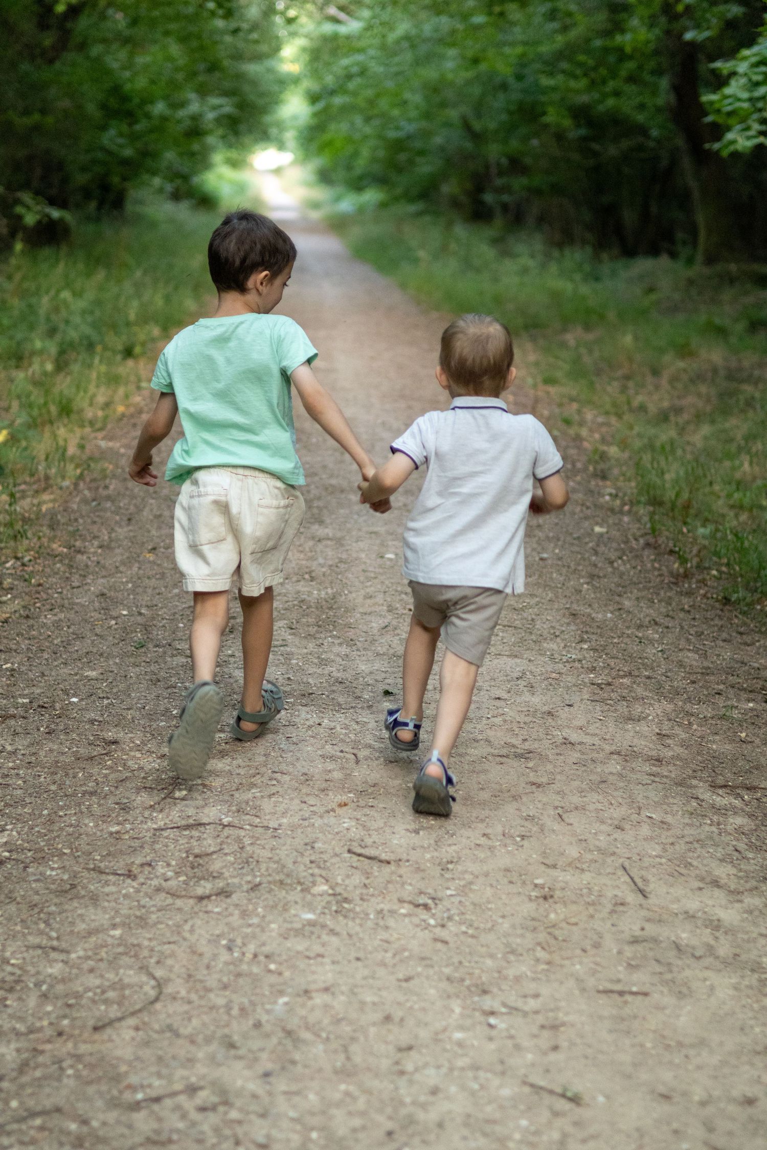 Back view of two young boys holding hands walking together on a shaded forest trail.