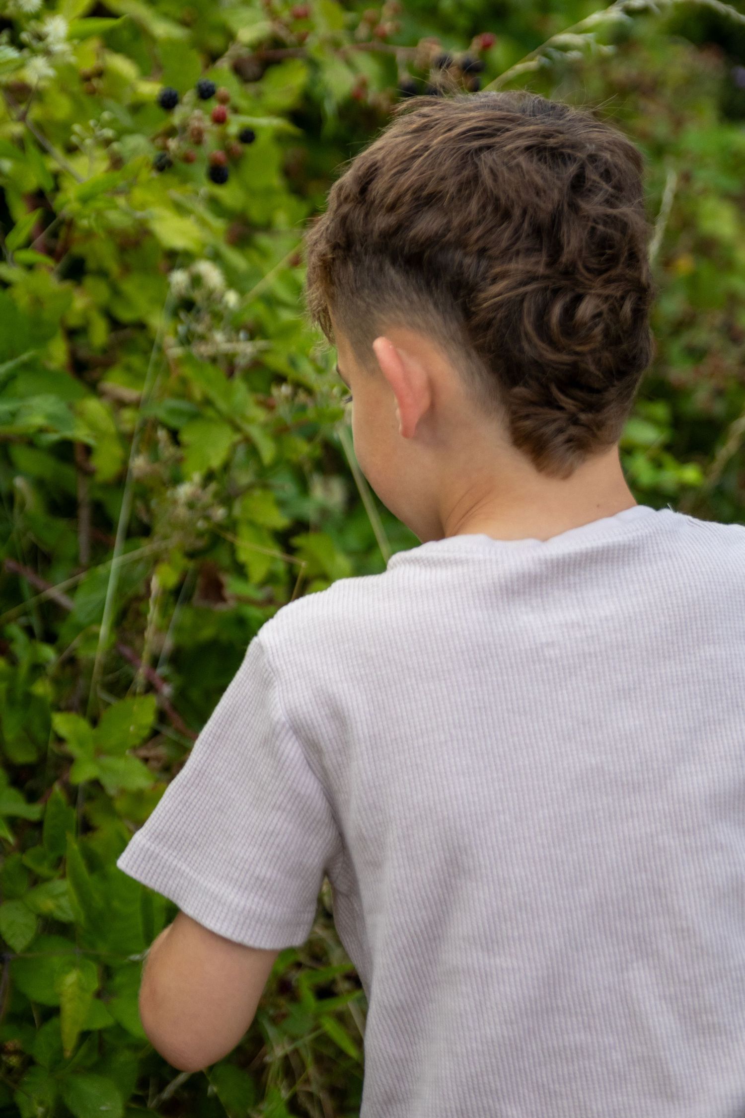 Young boy with curly undercut hairstyle in white t-shirt explores green blackberry bushes from behind.
