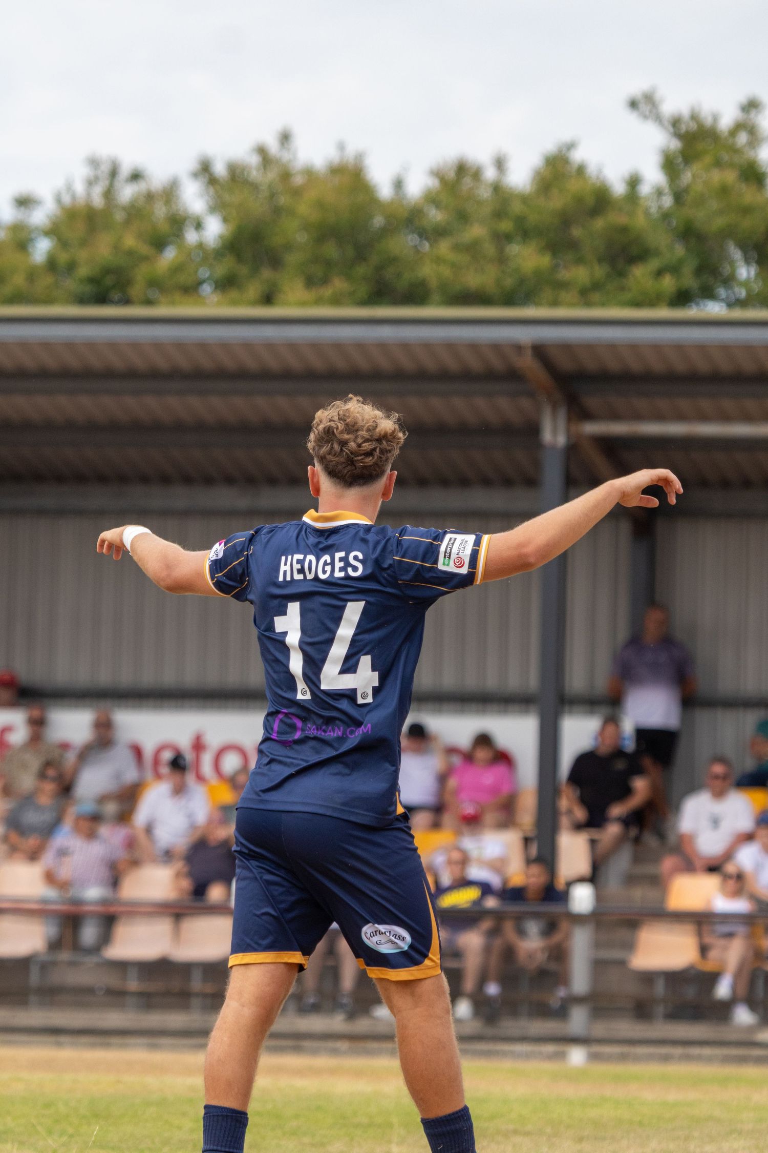 Josh Hedges