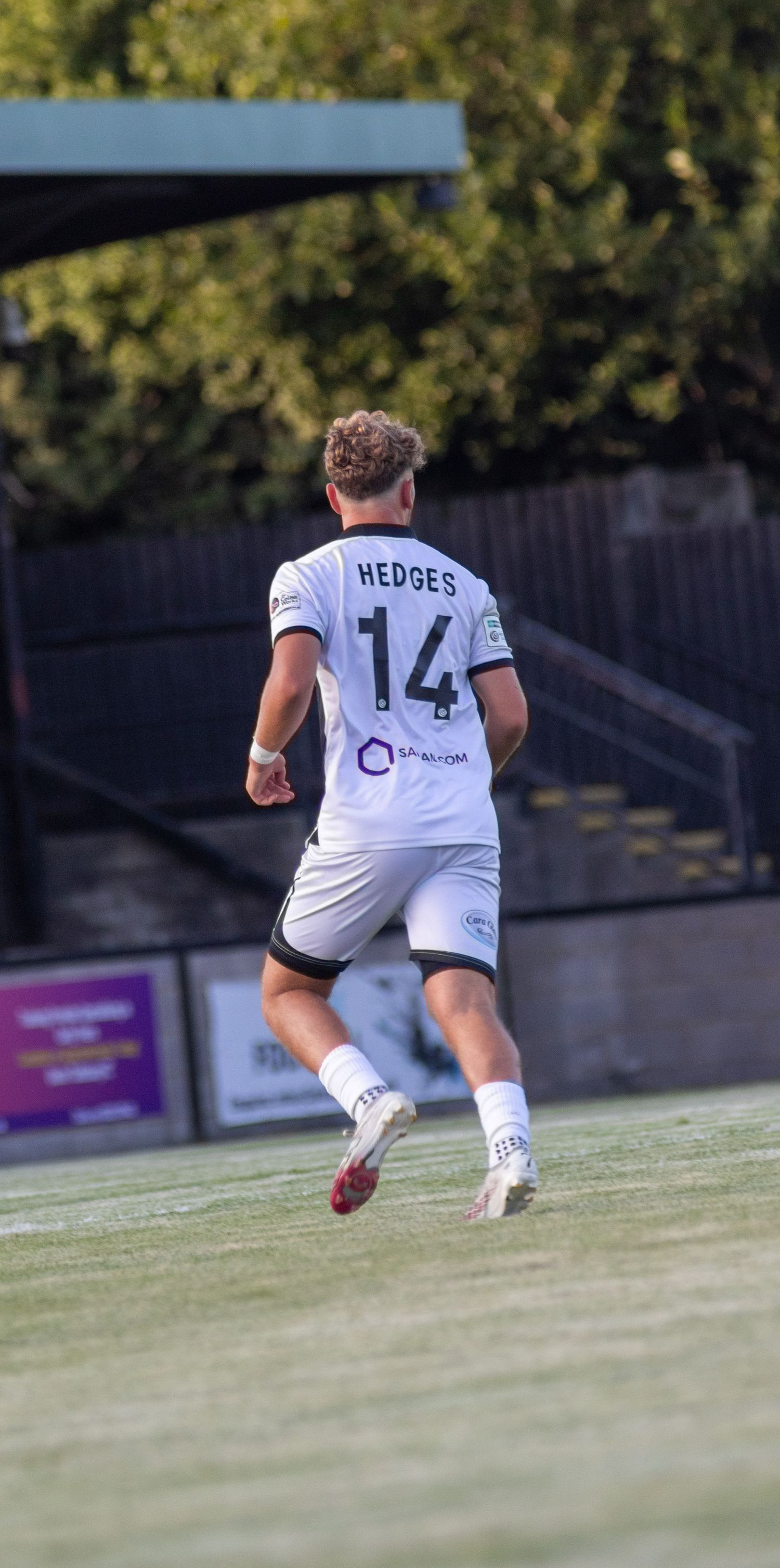 Josh Hedges