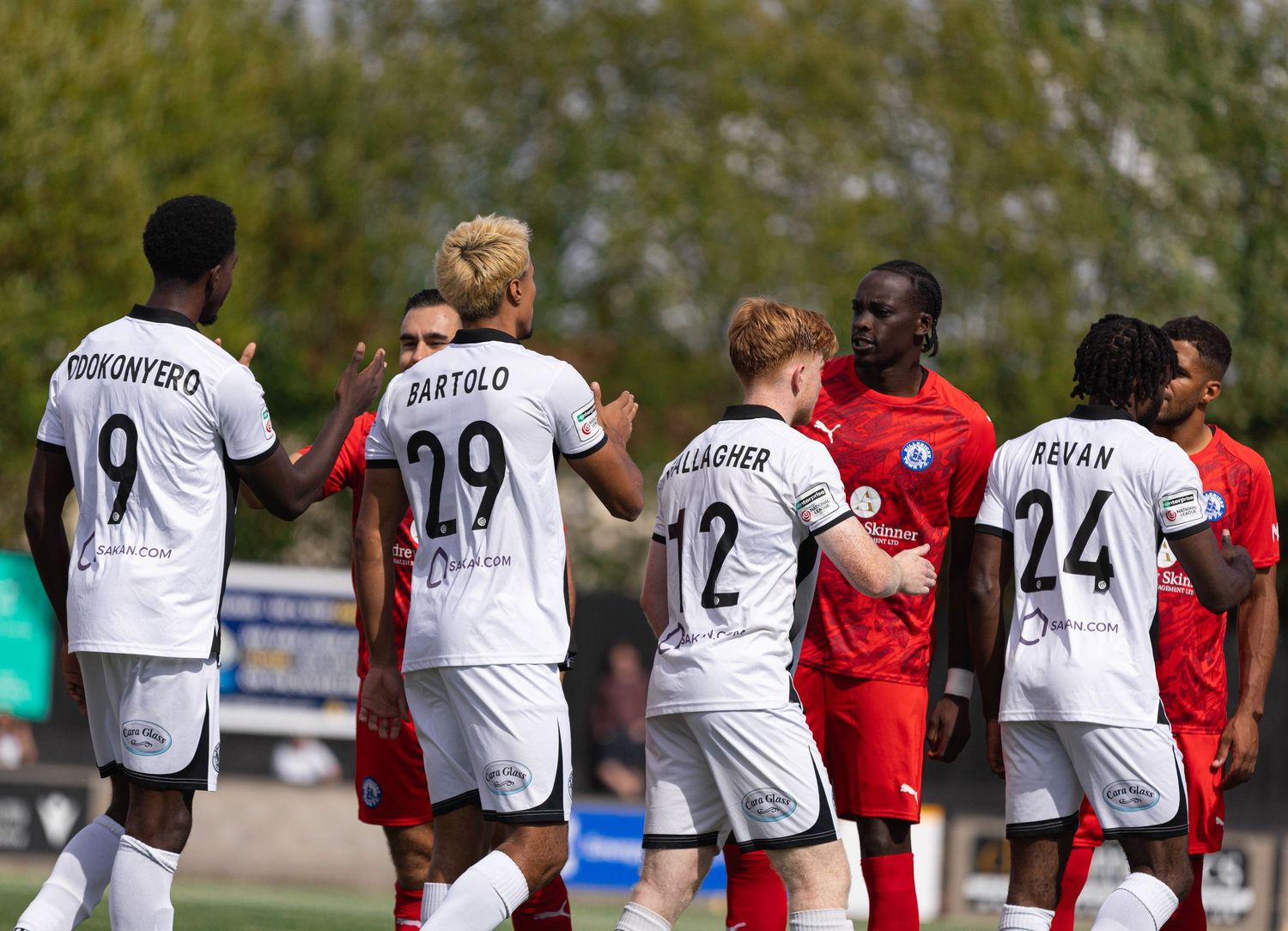 Soccer players in white jerseys with numbers 9, 29, 12, and 24 shake hands with red-uniformed opponents on a green field.