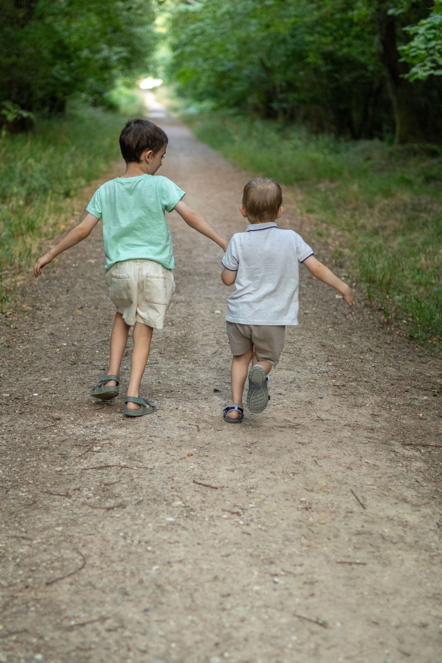 Two young boys holding hands while walking down a tree-lined dirt path in a forest.