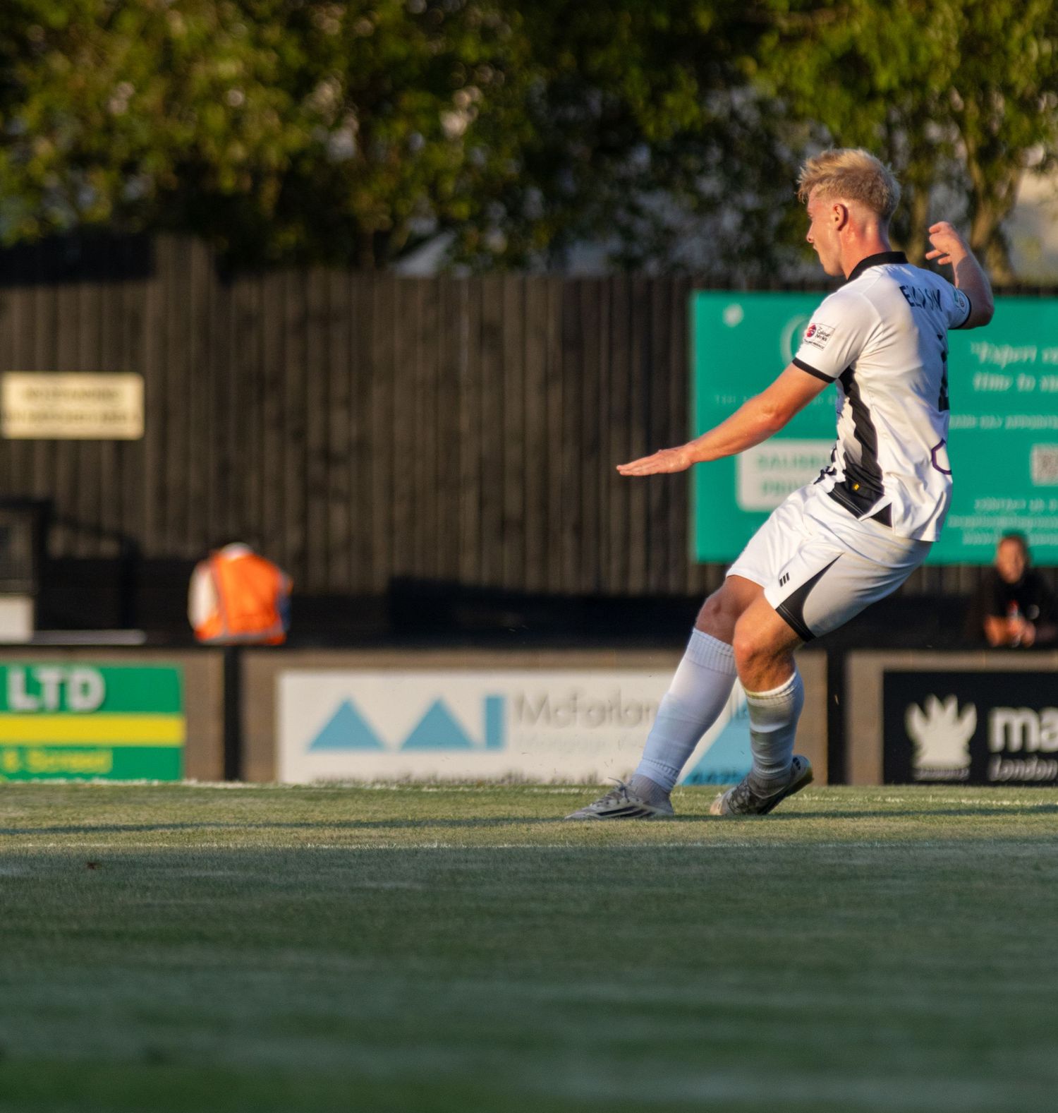 Dan Ellison