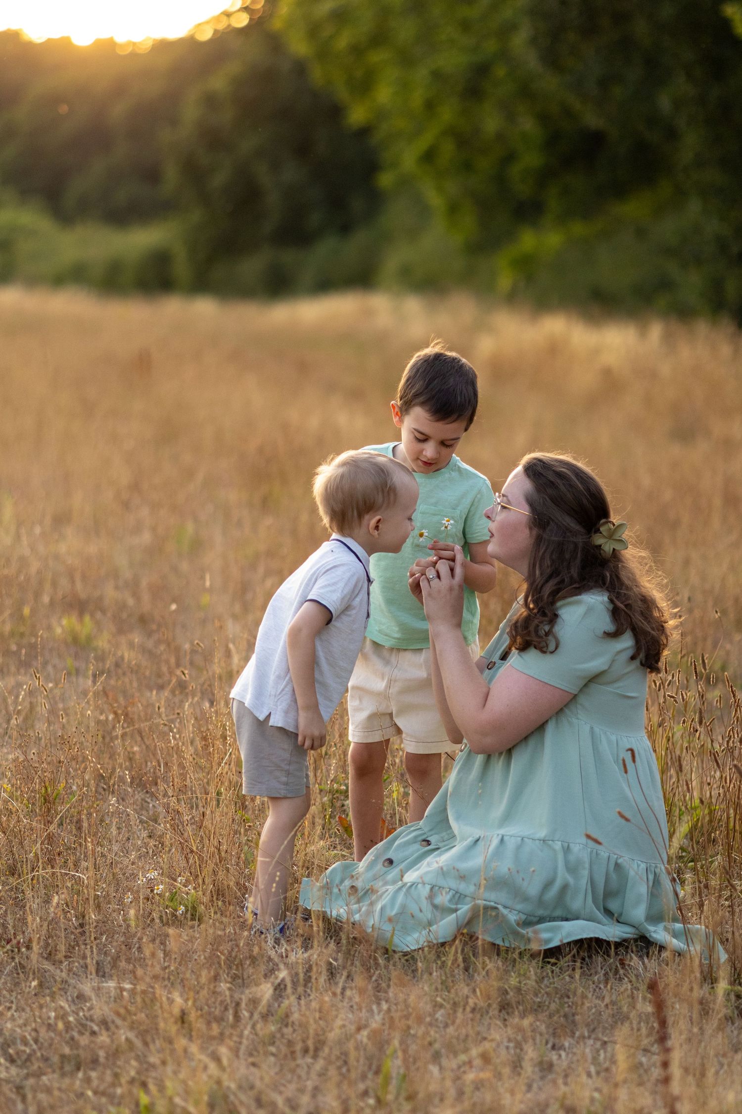 A pregnant mother in a mint dress kneels in a golden field at sunset while two young boys gather around her hands.