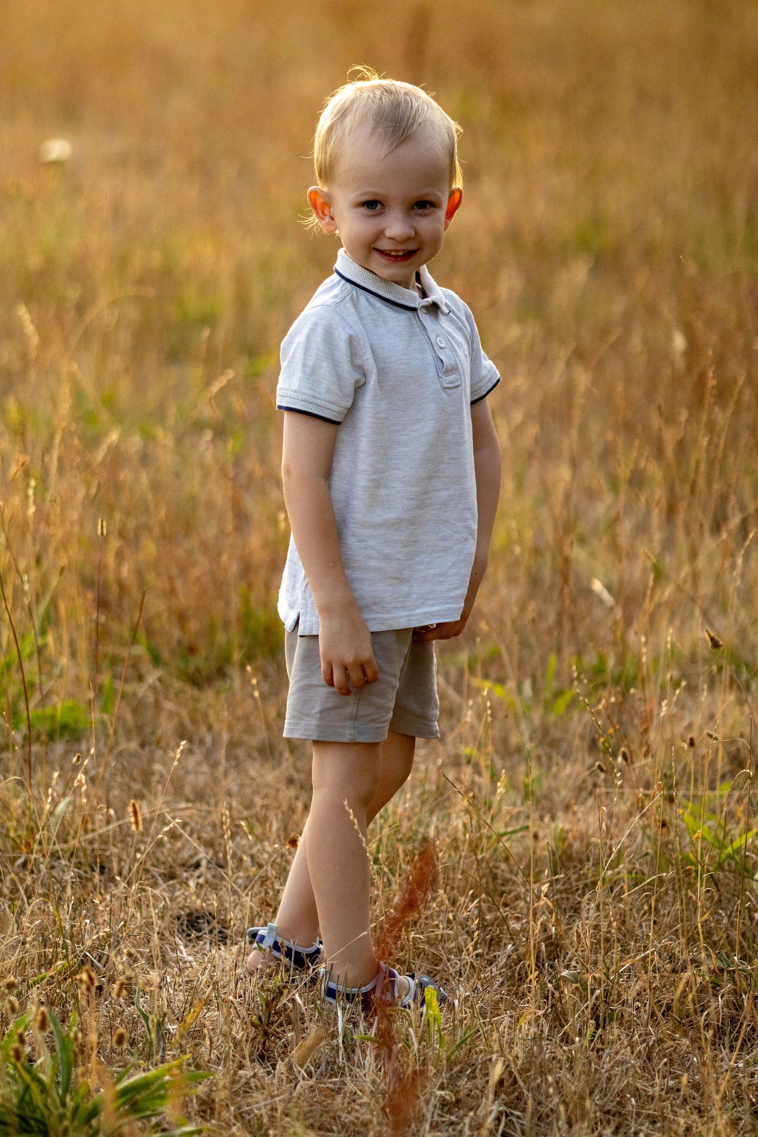 A smiling toddler boy in gray polo shirt and shorts stands in a golden sunlit field.