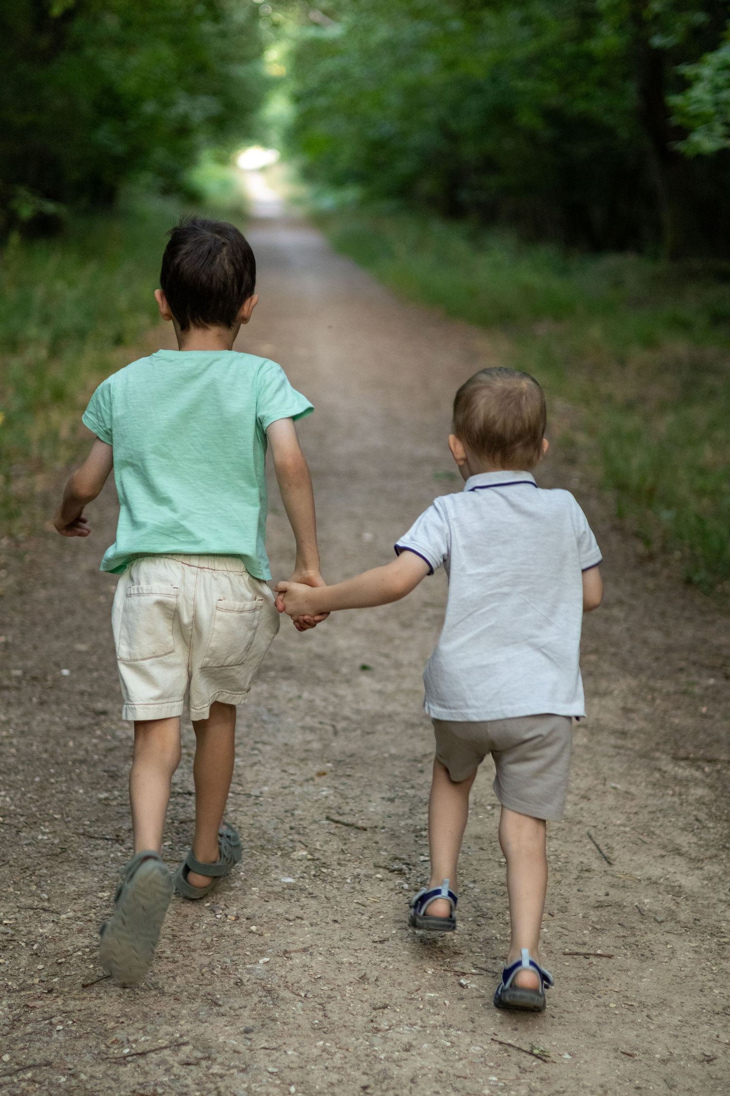 Rear view of two boys holding hands walking down a forest dirt path in summer.