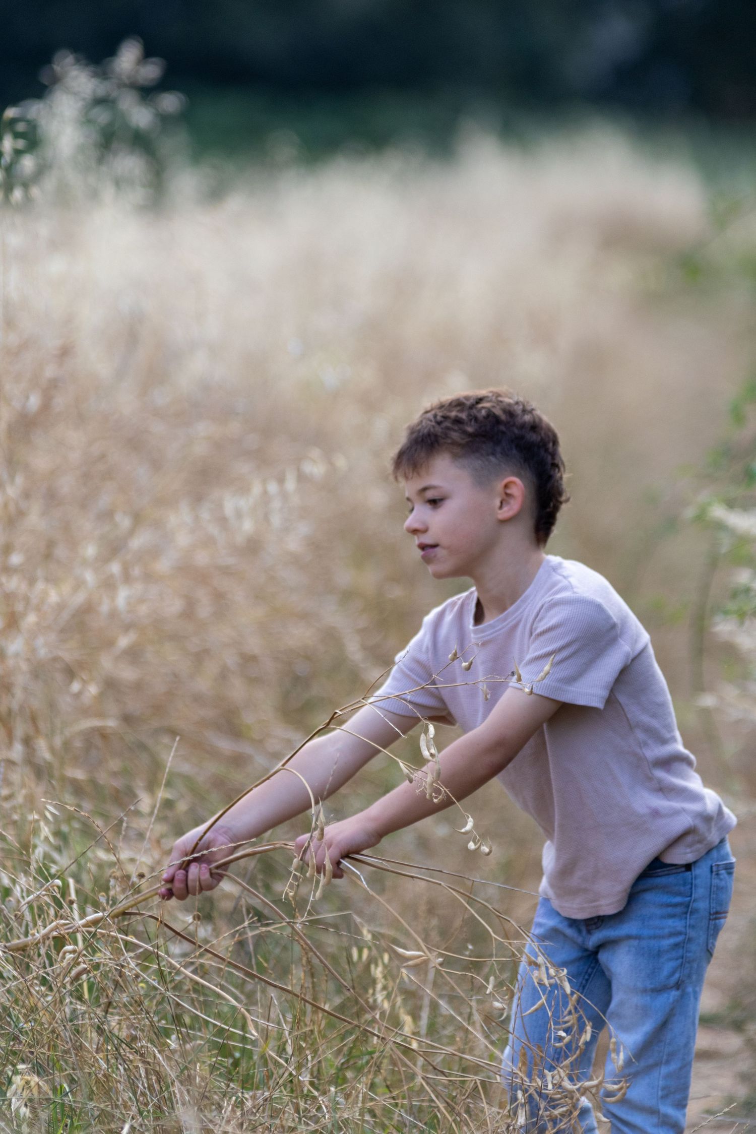 Young boy reaching into tall dry grass in an open field outdoors.