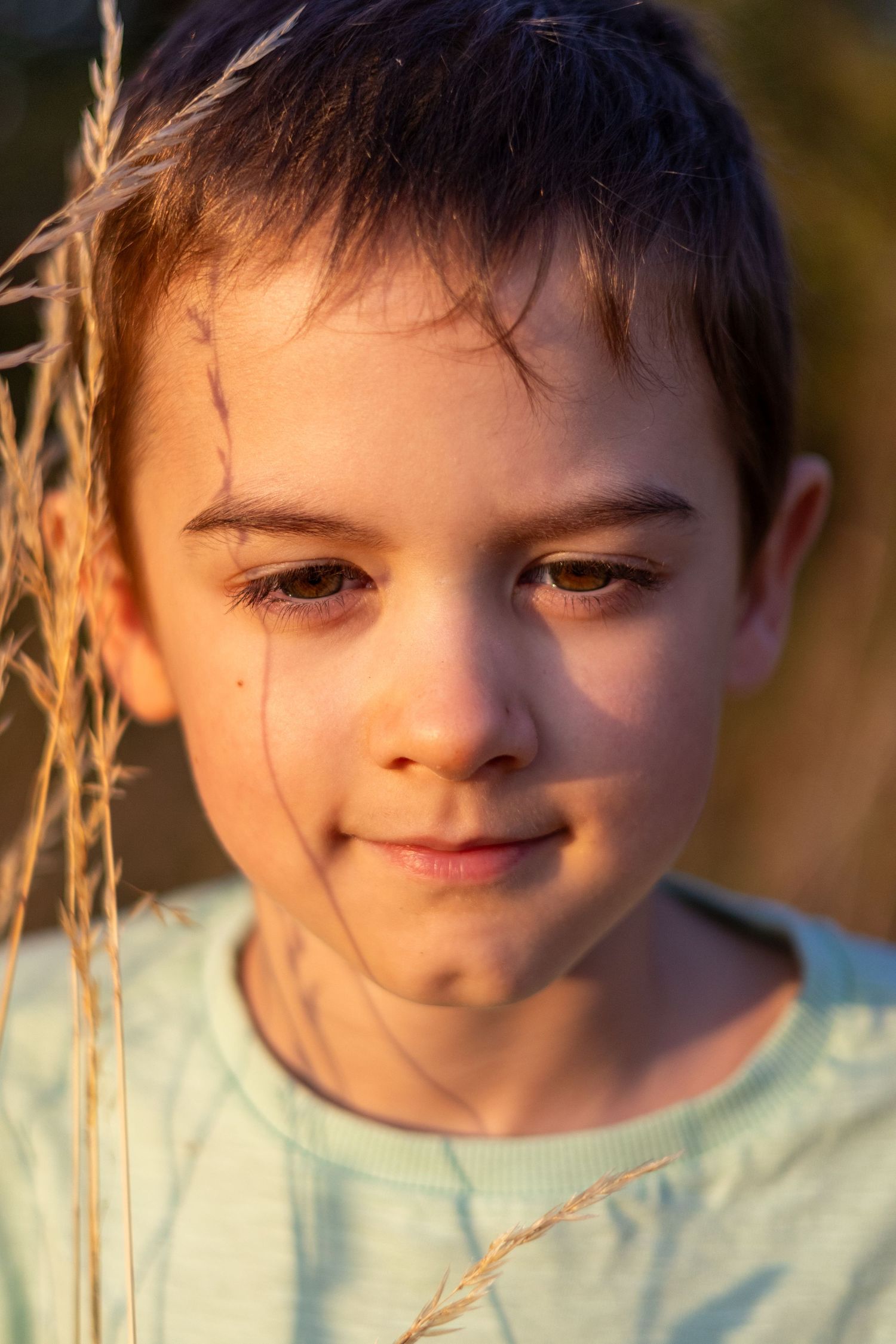 Close-up portrait of a young boy with a grass stem near his face in golden evening light.