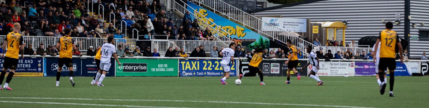 Soccer players compete on a pitch during a match, with fans and advertising boards visible in the background.