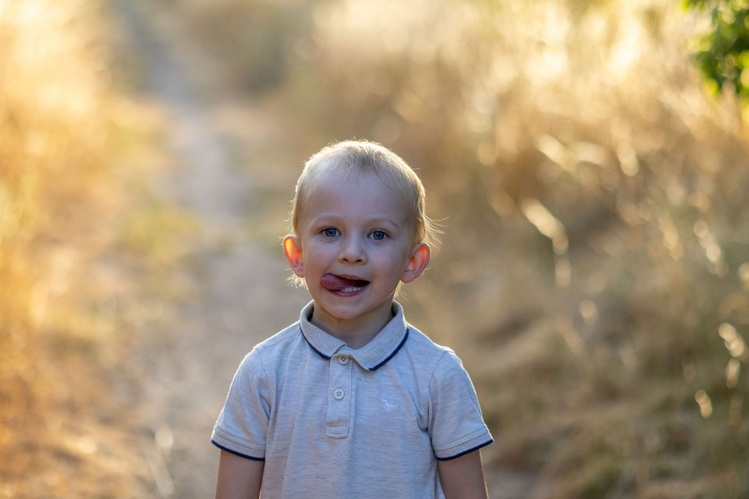 A happy blonde toddler boy with blue eyes sticking out his tongue outdoors in golden light.