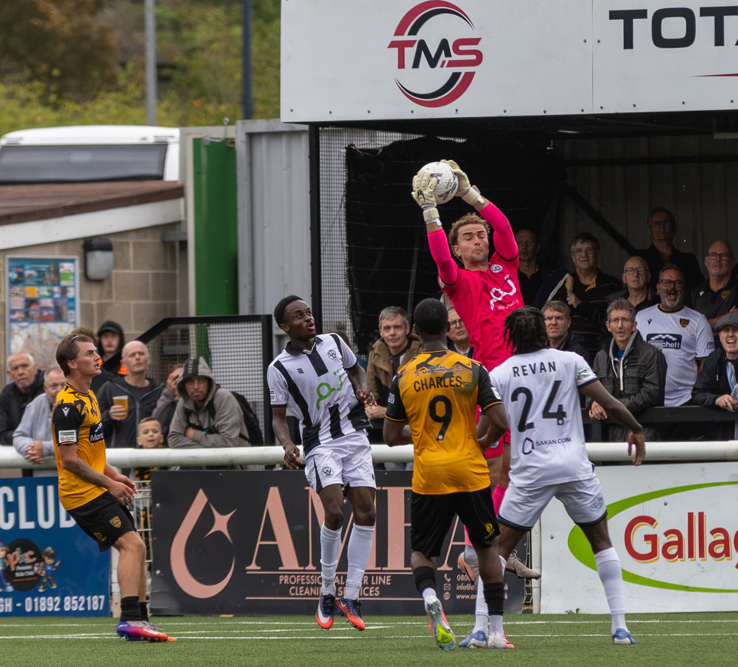 Goalkeeper catches ball during competitive football match with players in yellow and black-and-white kits on green pitch.