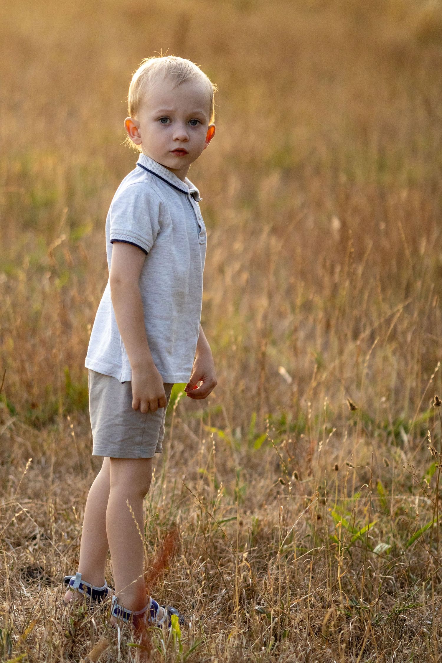 Cute blonde toddler boy standing alone in dry grass field during warm golden sunset.