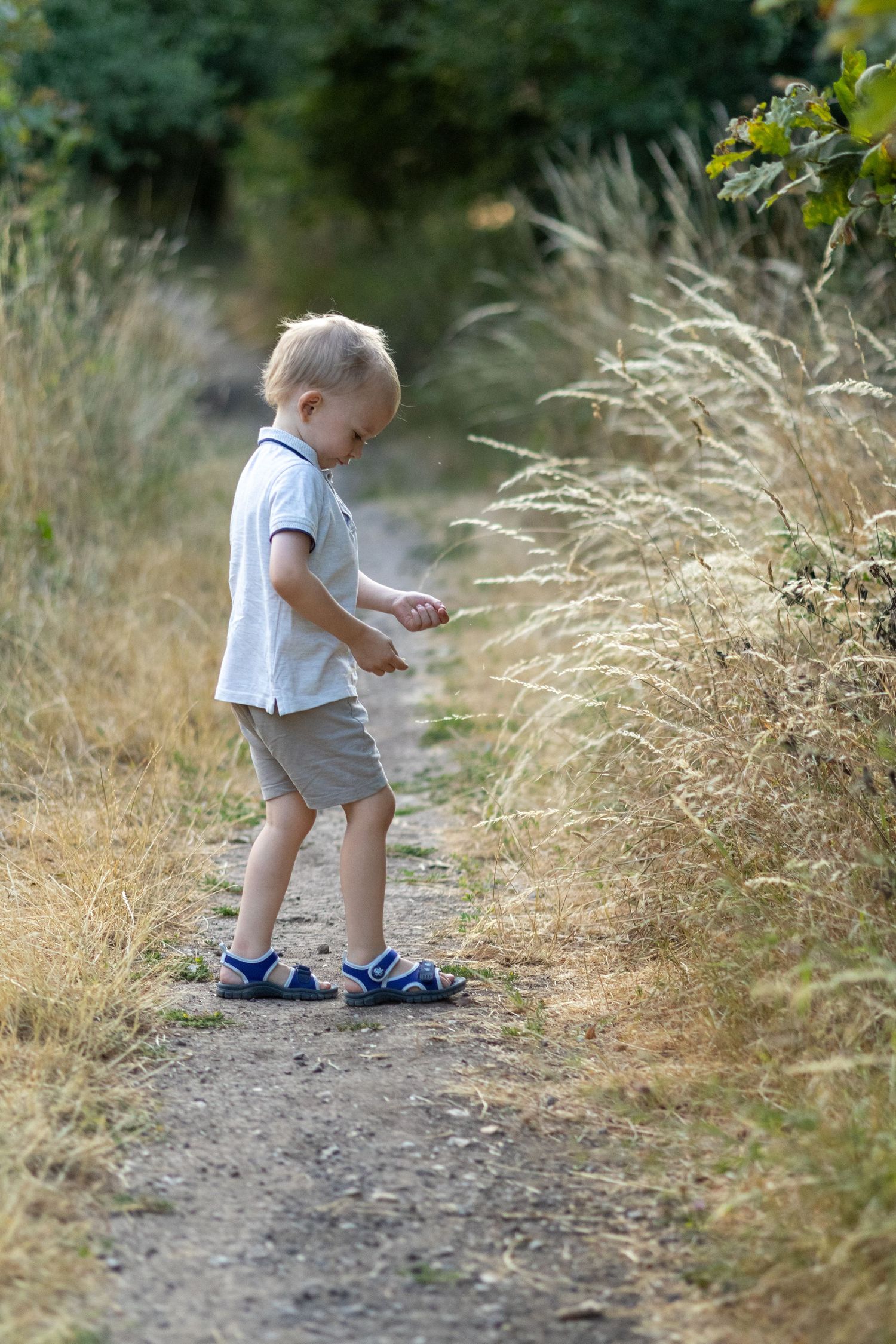 A toddler in a white polo shirt and blue sandals walks along a dirt path surrounded by tall grass.