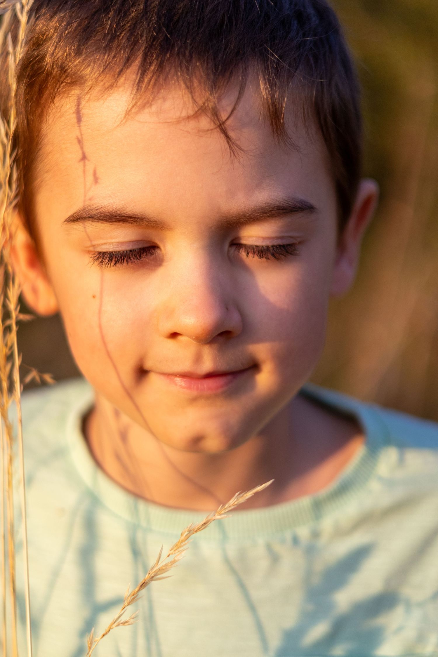 A young boy looks down pensively holding a grass stem in rich golden sunset light.