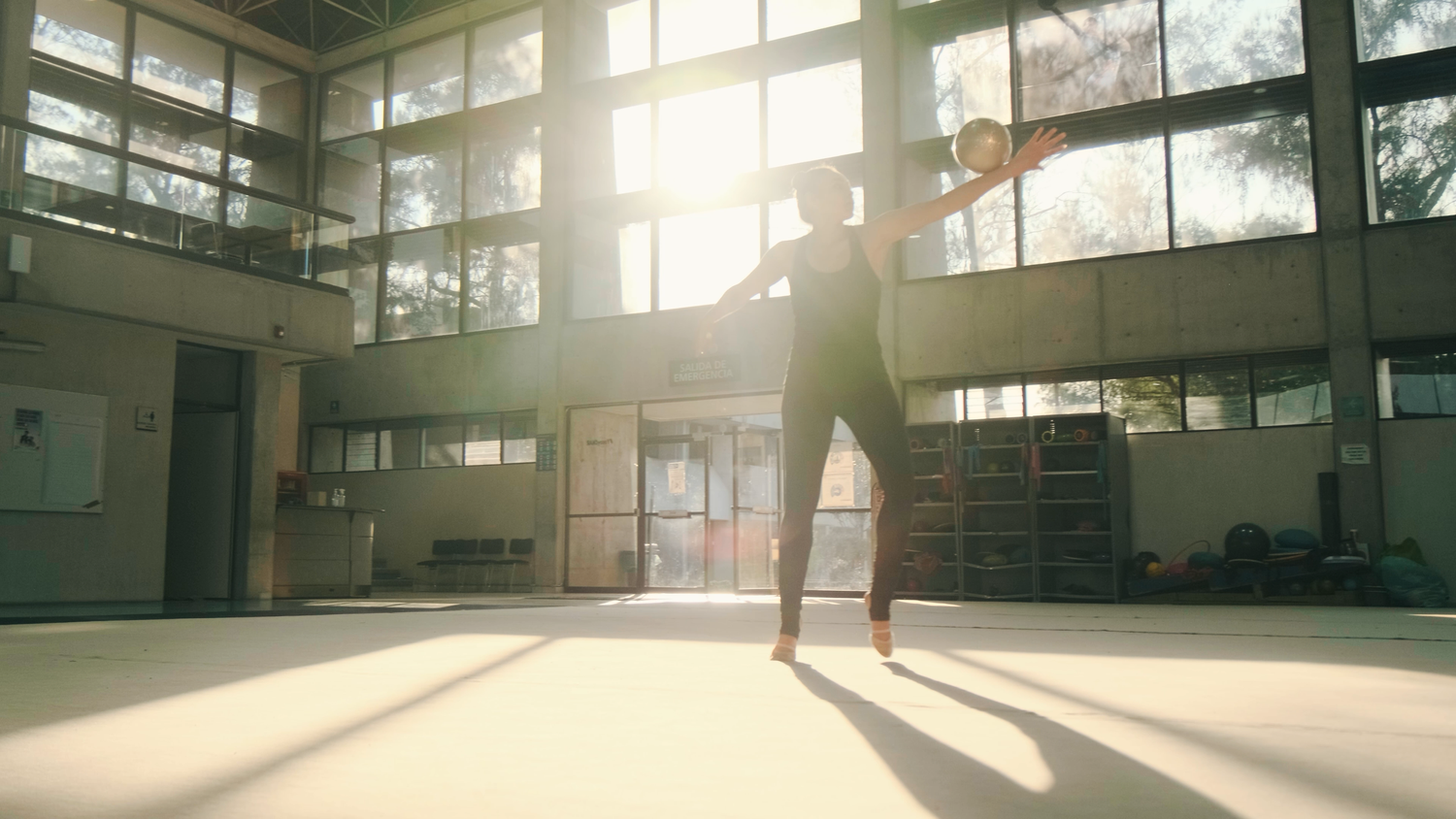 A female gymnast performs an elegant leg raise in a sunlit professional training gymnasium.