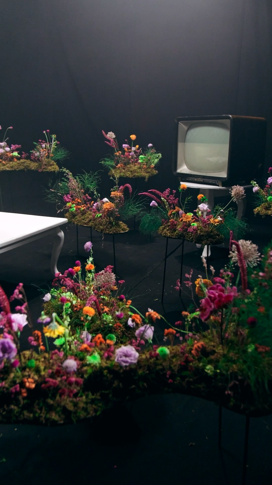 Colorful wildflower arrangements surround a vintage retro television set against a dark black studio background.