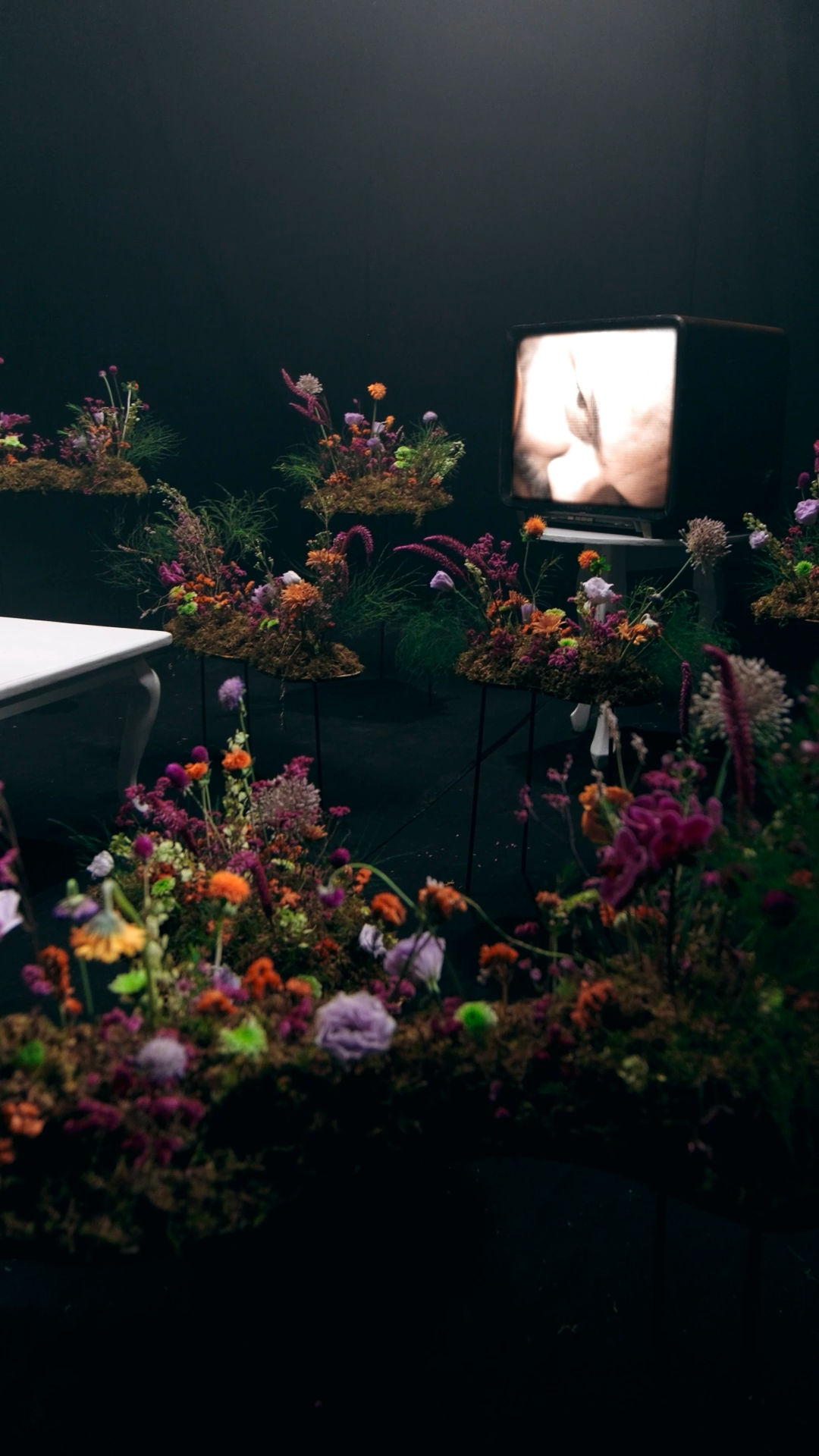 Dark artistic installation featuring colorful wildflowers surrounding a vintage TV screen displaying an image.