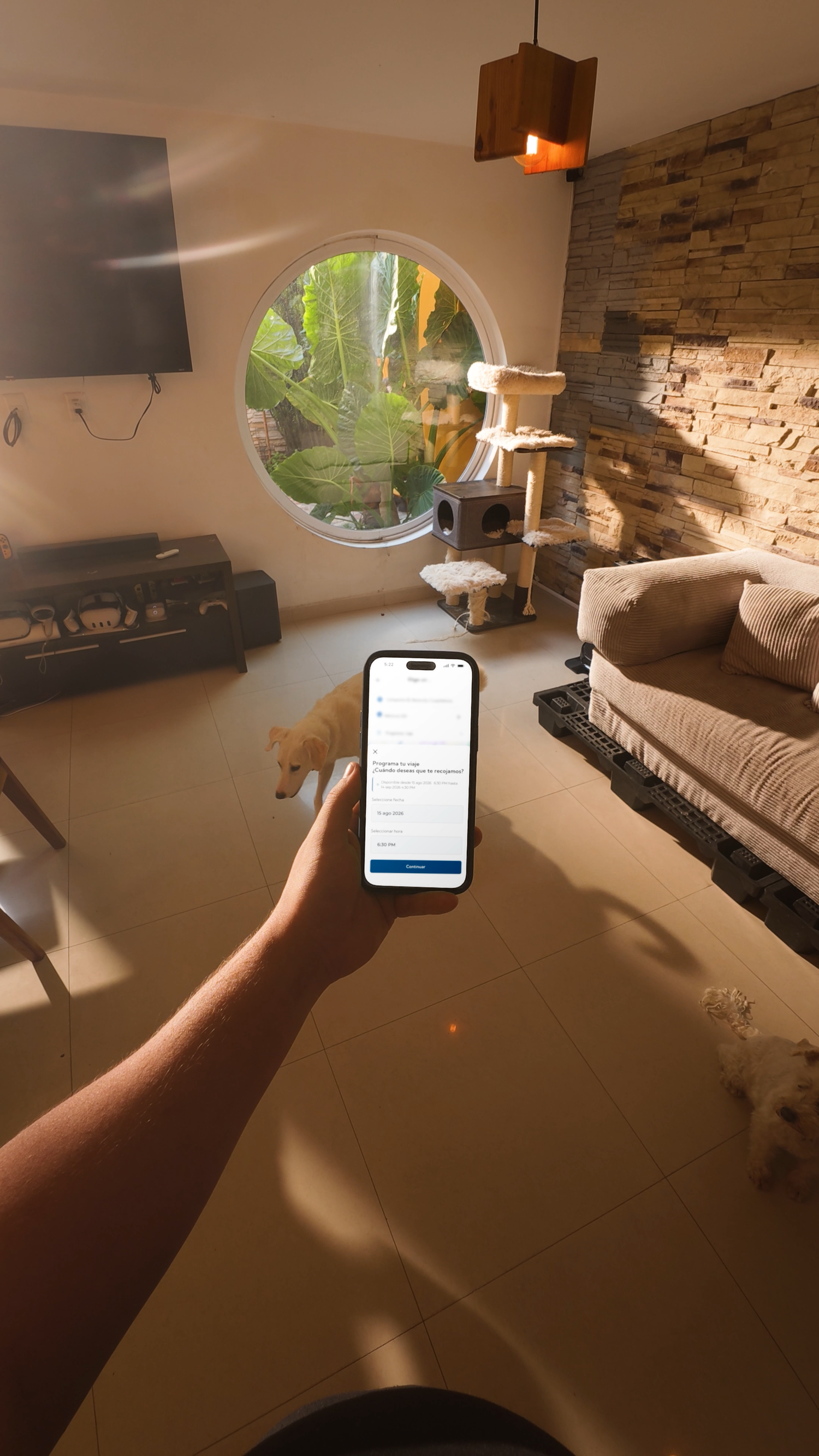 Hand holding smartphone with app open in modern living room with round window and dog.